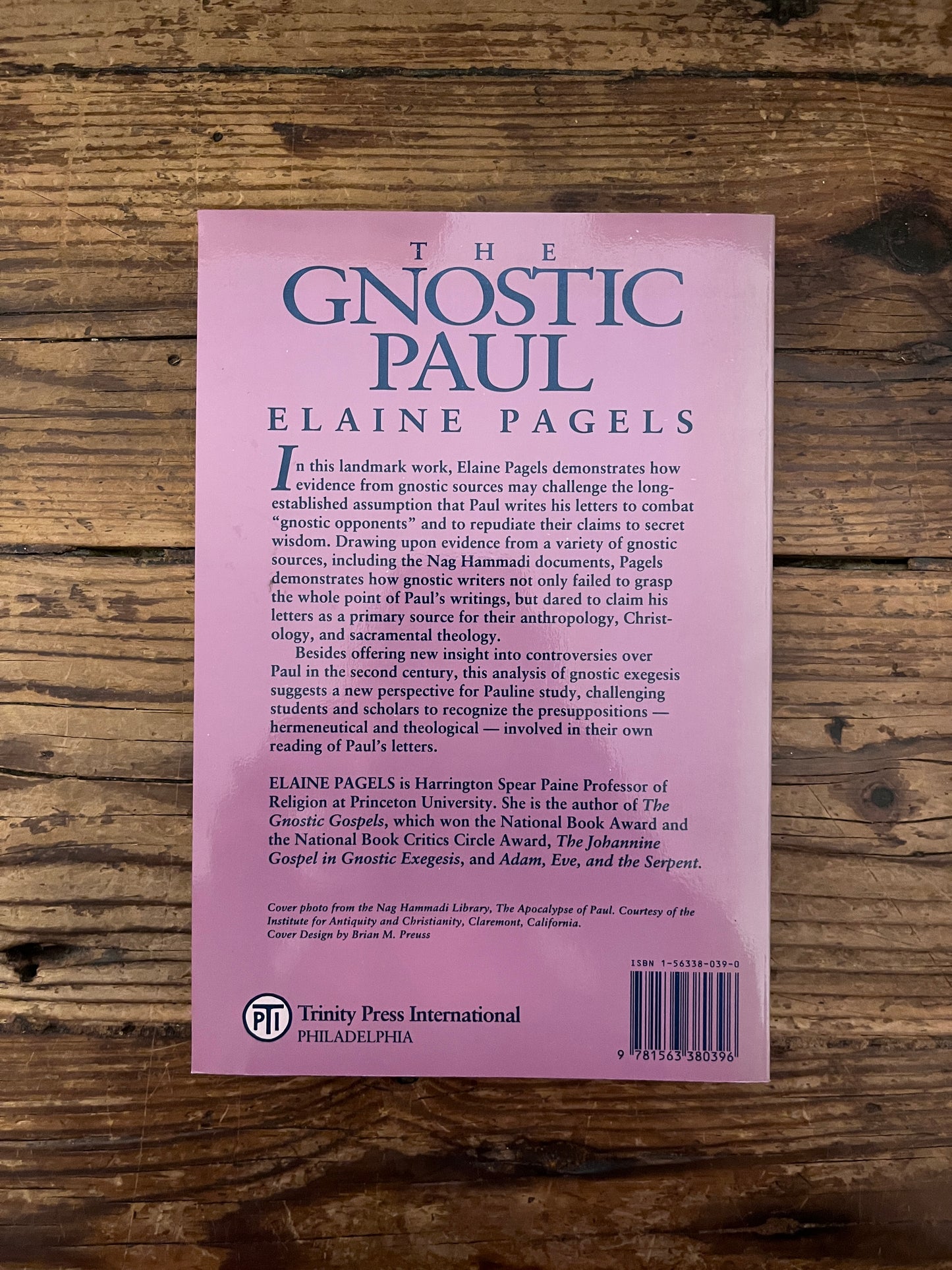 photo of the backcover of the book "the gnostic Paul" on a wooden background