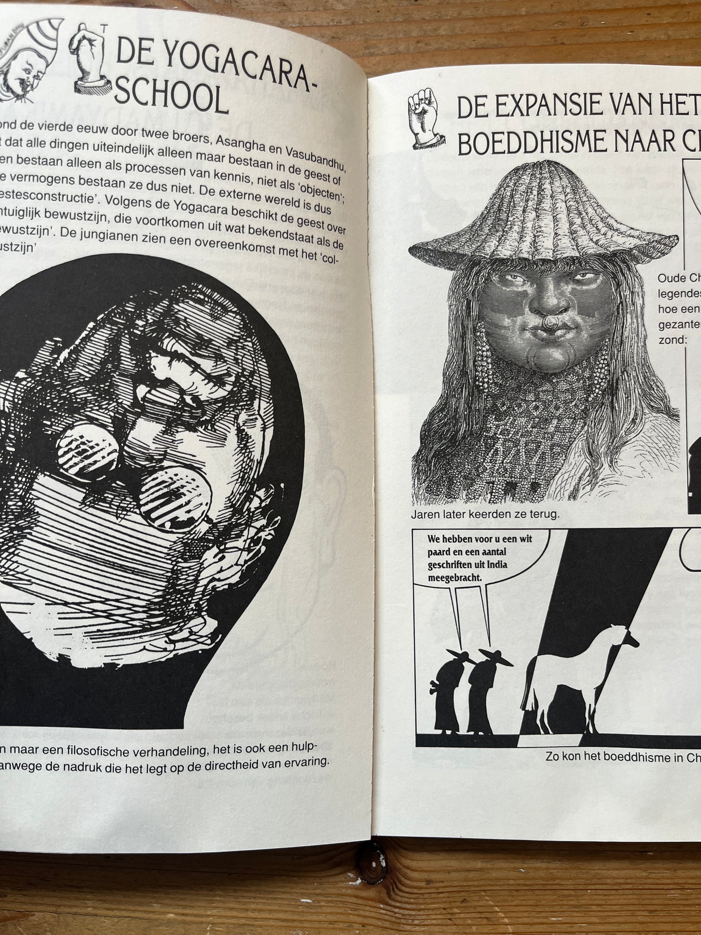 Boeddha voor beginners, Jane Hope and Borin van Loon