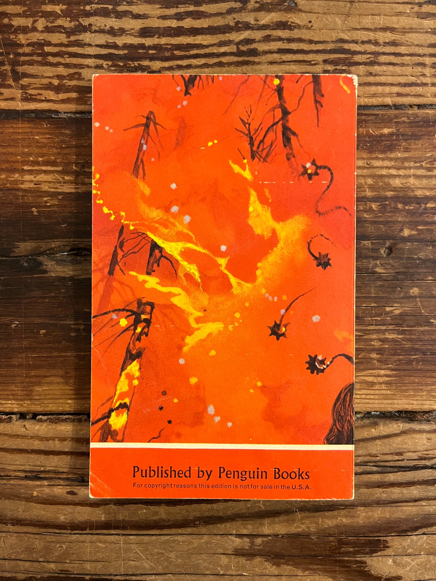 Back cover of book titled 'The Moon of Gomrath' by Alan Garner on a wooden surface