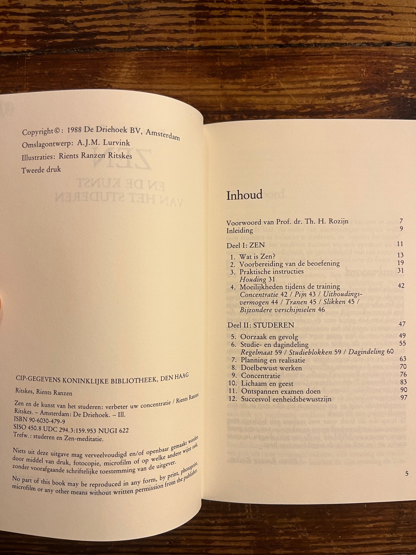 Zen en de kunst van het studeren, Rients R. Ritskes
