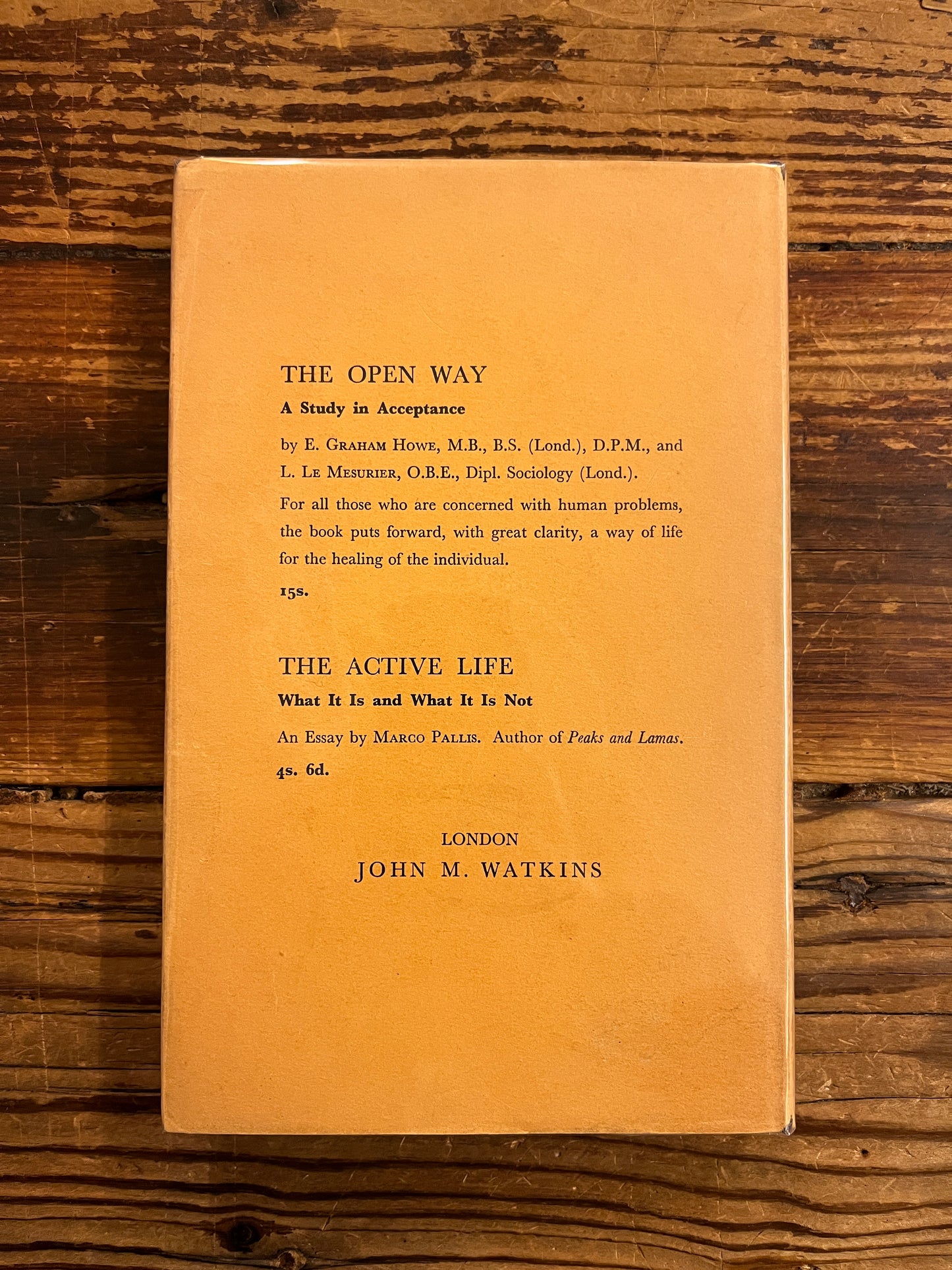 Back cover of book 'three levels of consciousness' by Minnie B. Theobald on a wooden surface