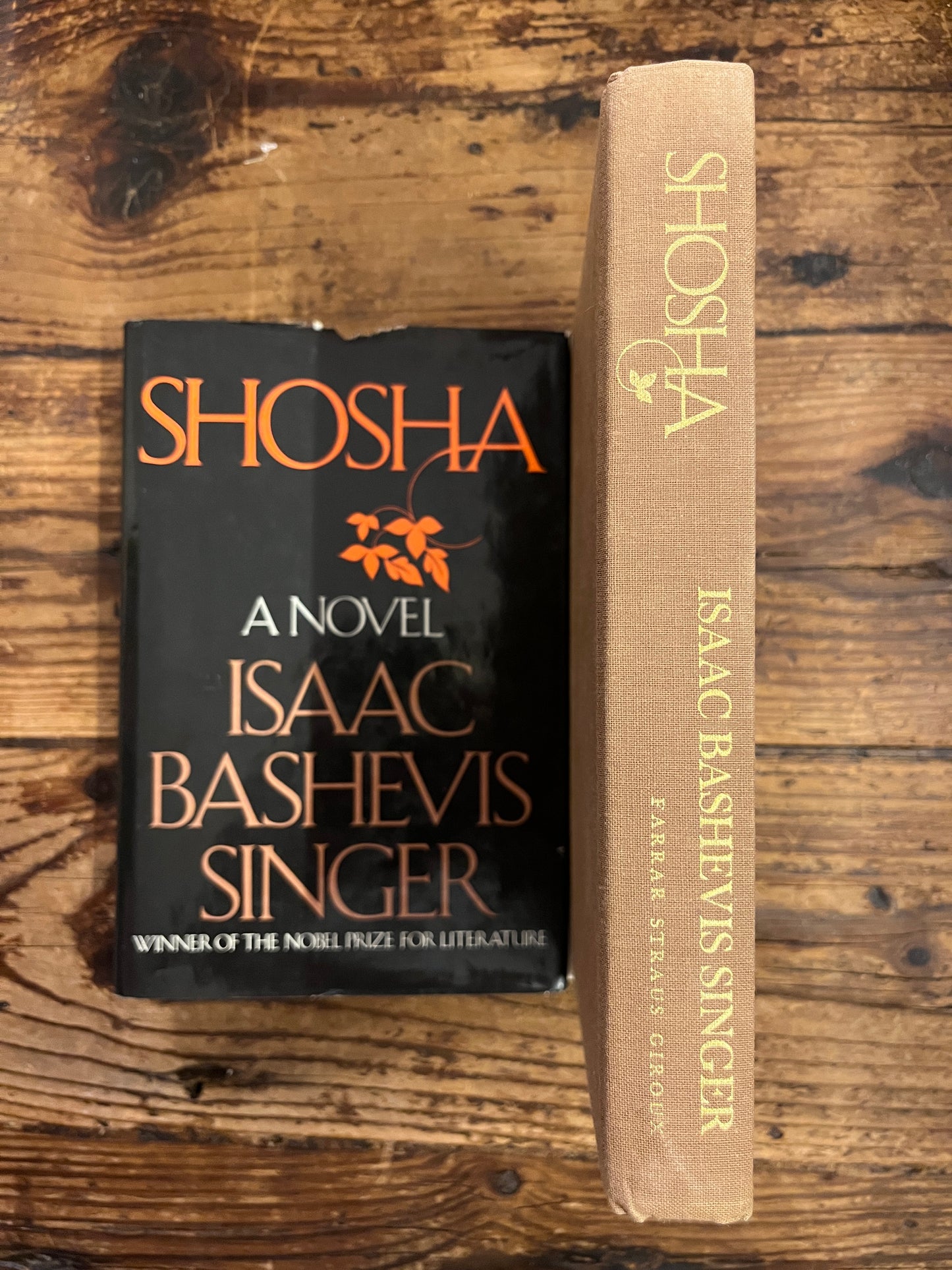 Shosha, Isaac Bashevis Singer