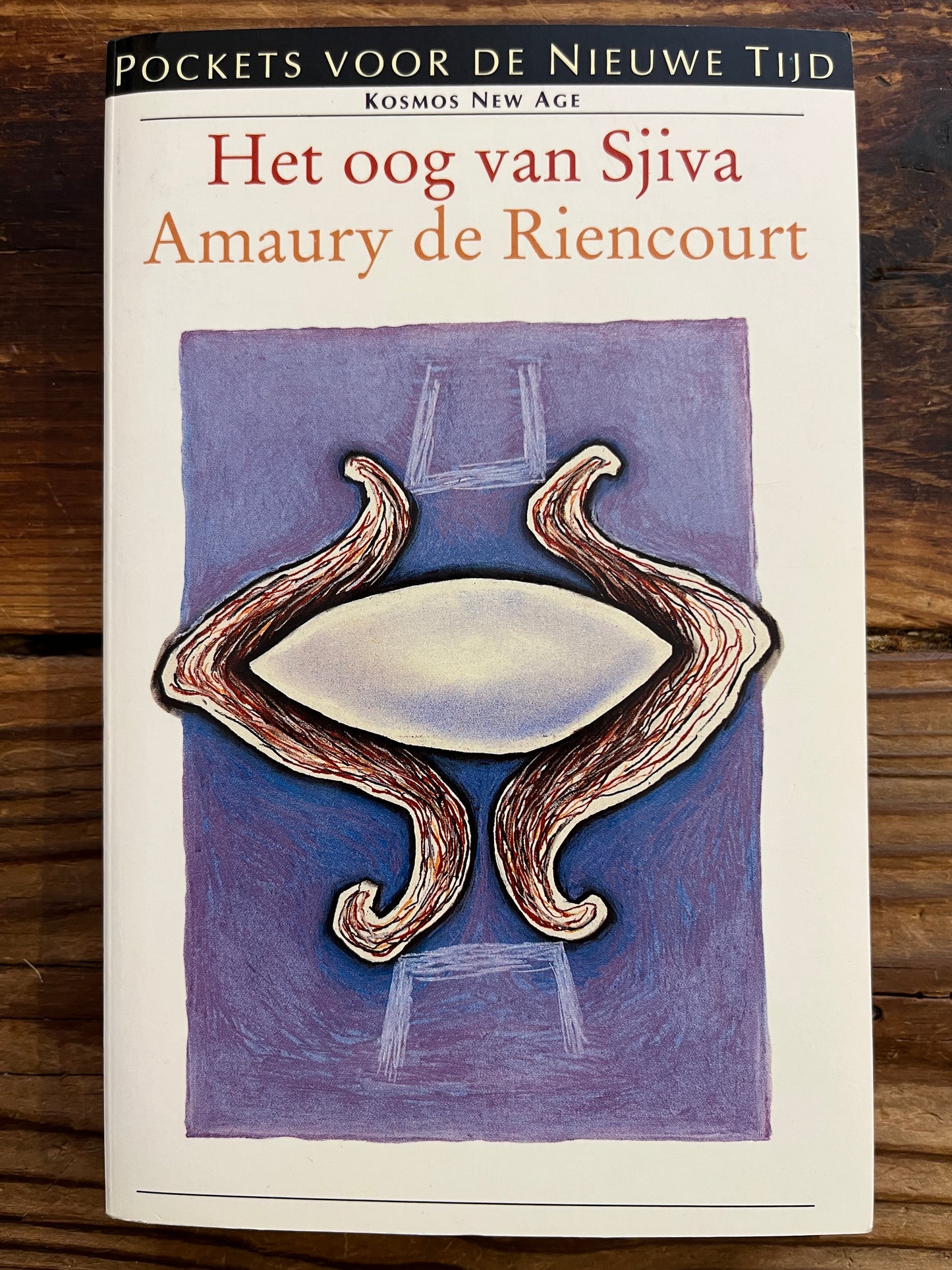 Het oog van Sjiva, Amaury de Riencourt