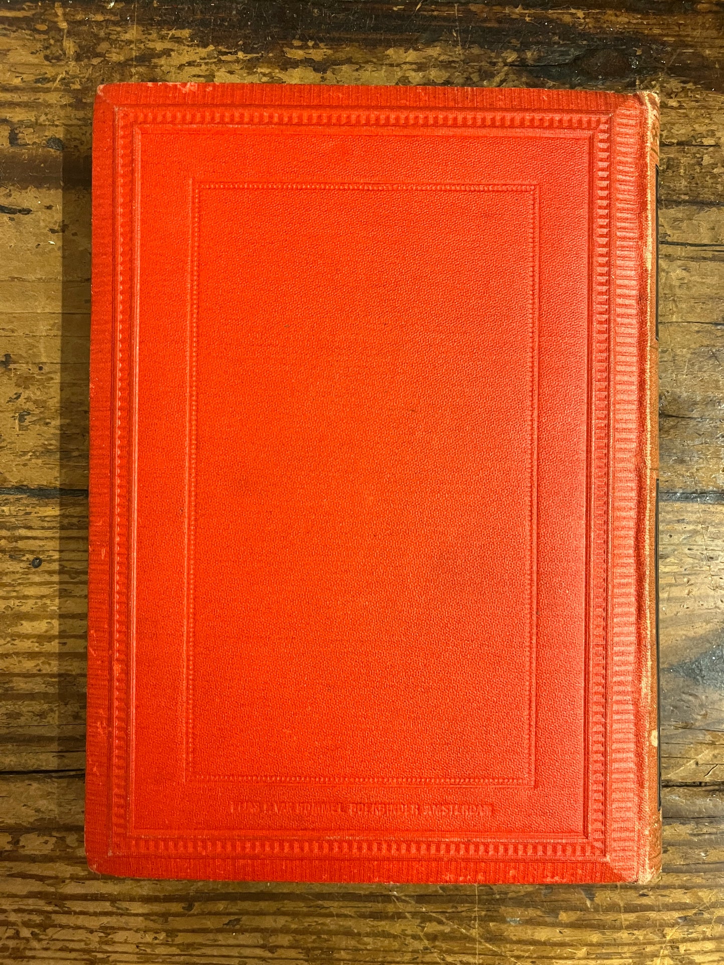 achterkant van het boek "camera obscura"