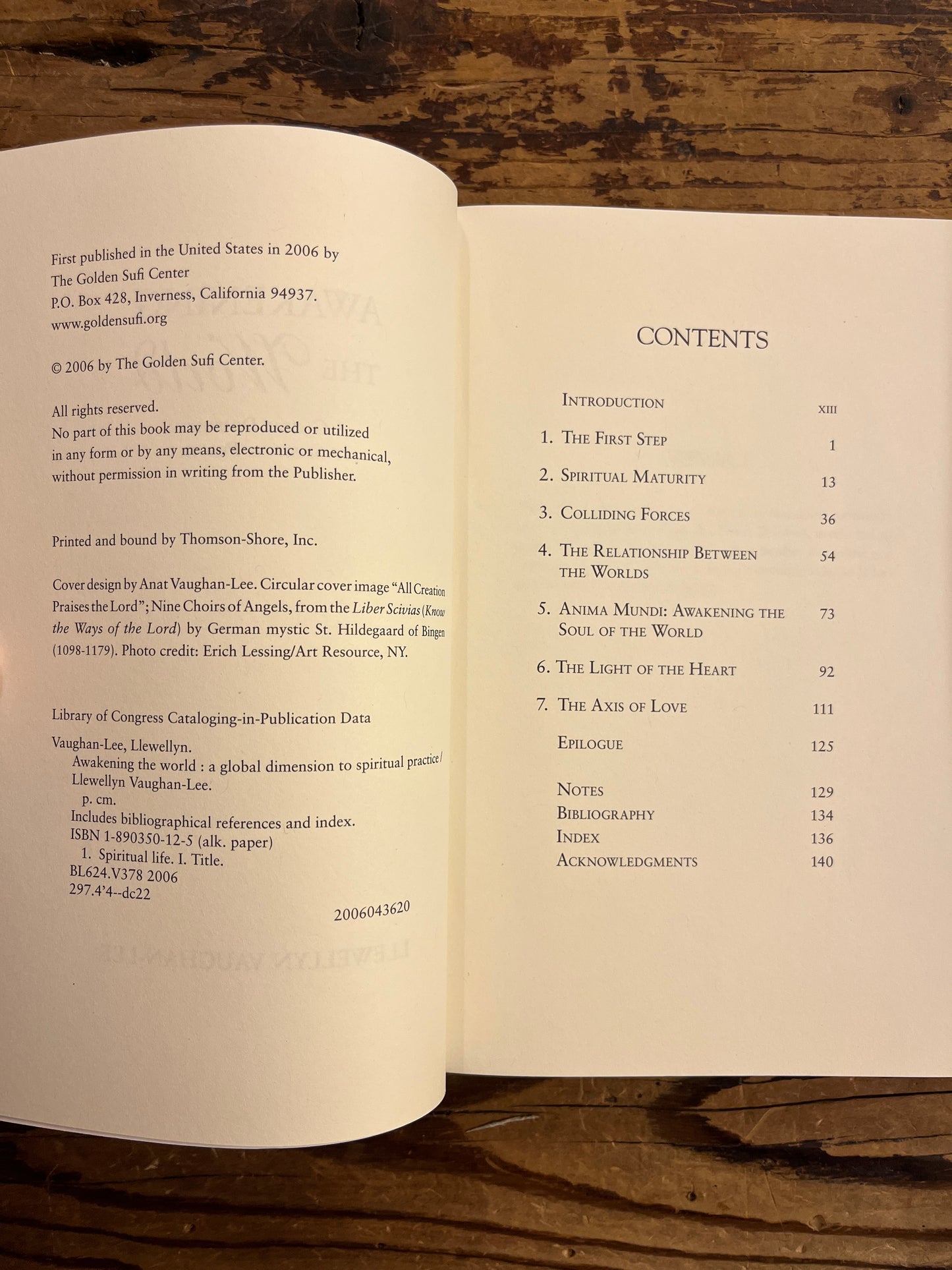 Awakening the World, Llewellyn Vaughan-Lee