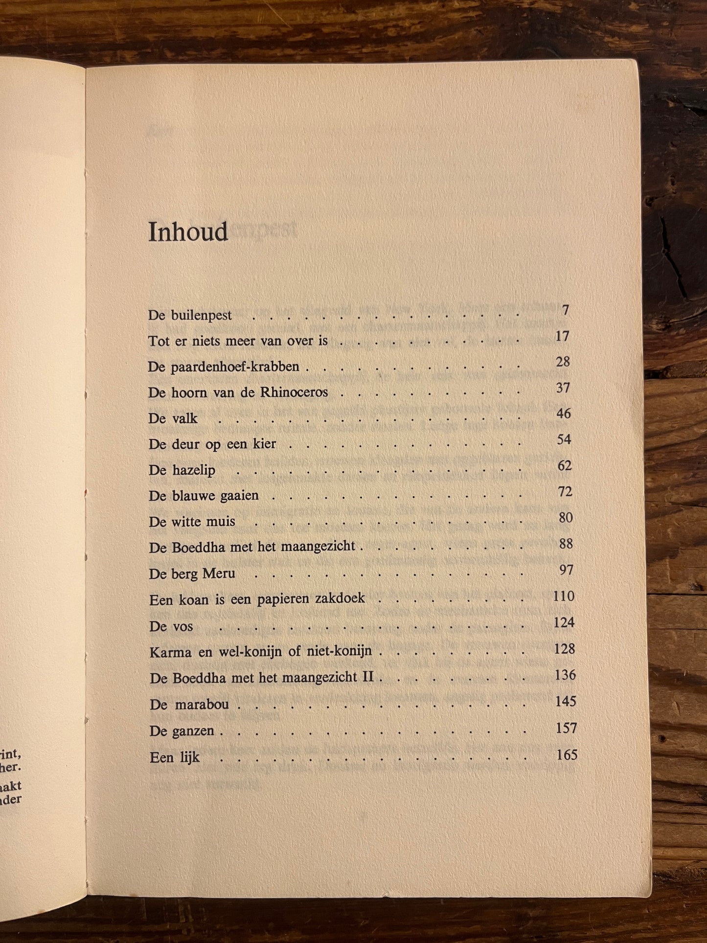 Het dagende niets, beschrijving van eerste bewustwording in Zen, Janwillem van de Wetering