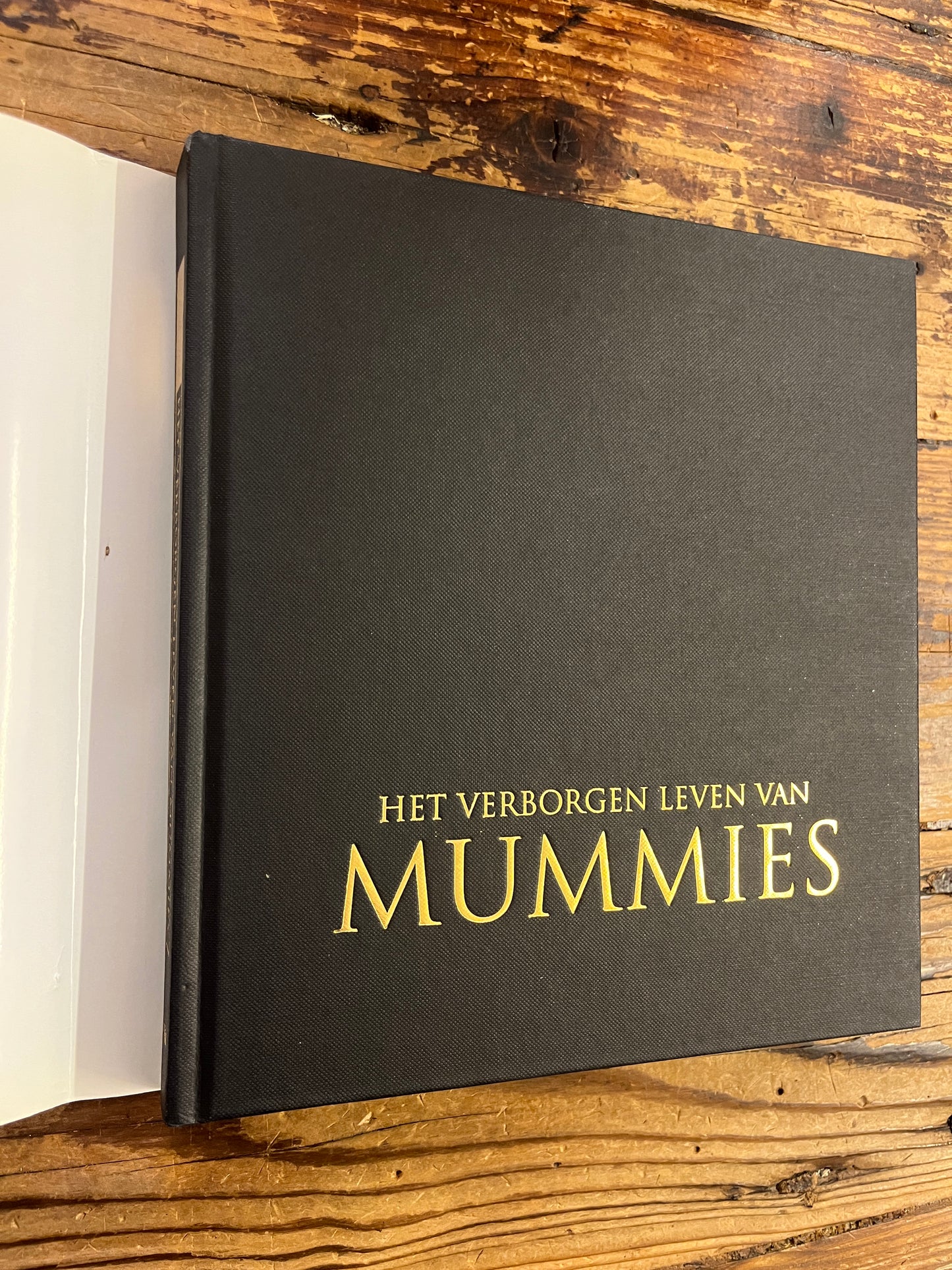 Het verborgen leven van Mummies, Rosalie David en Rick Archbold