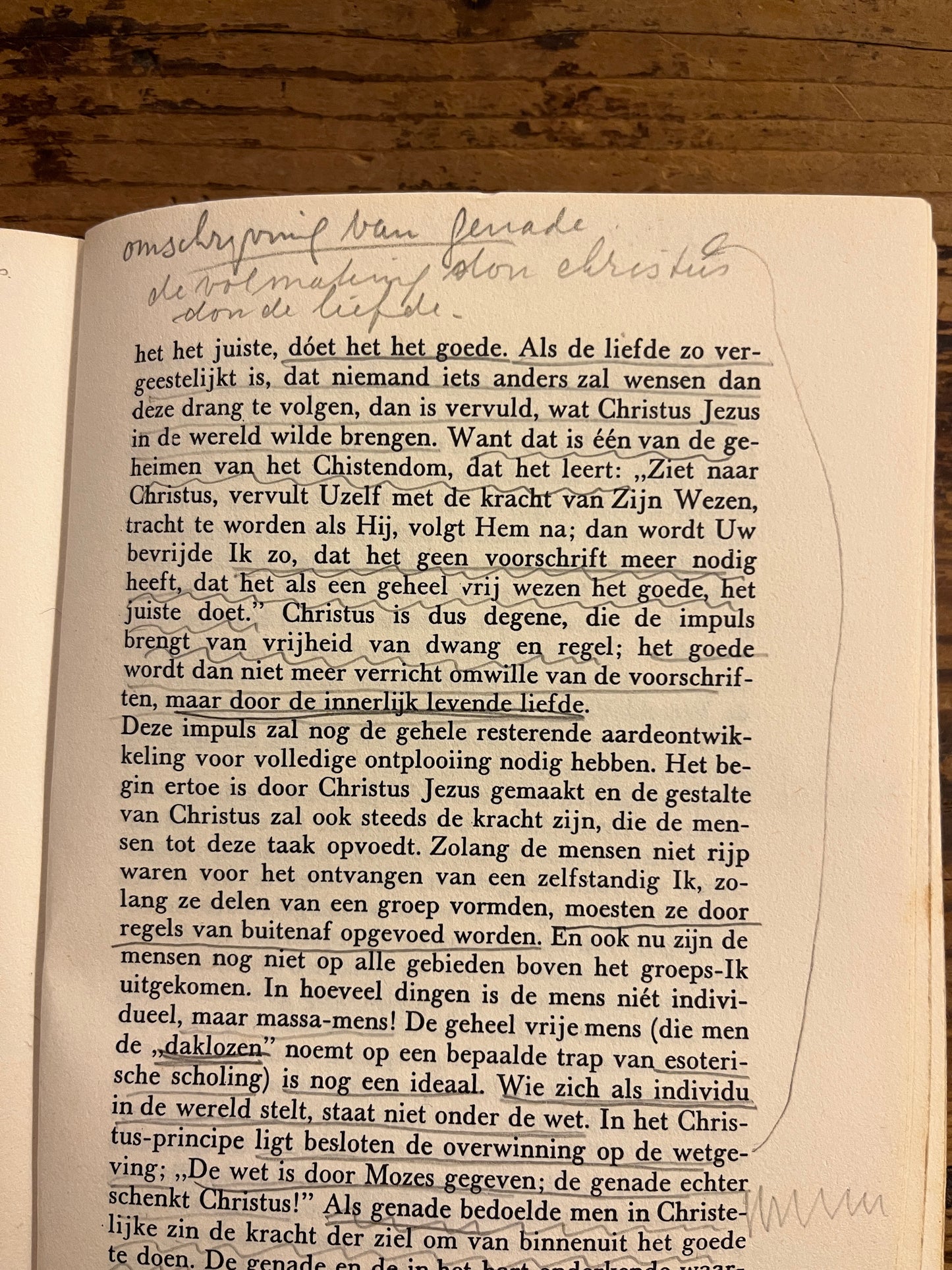 Het Johannes Evangelie, Rudolf Steiner