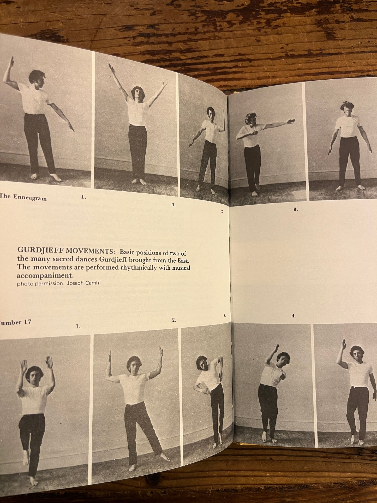 The Gurdjieff Work, Kathleen Riordan Speeth