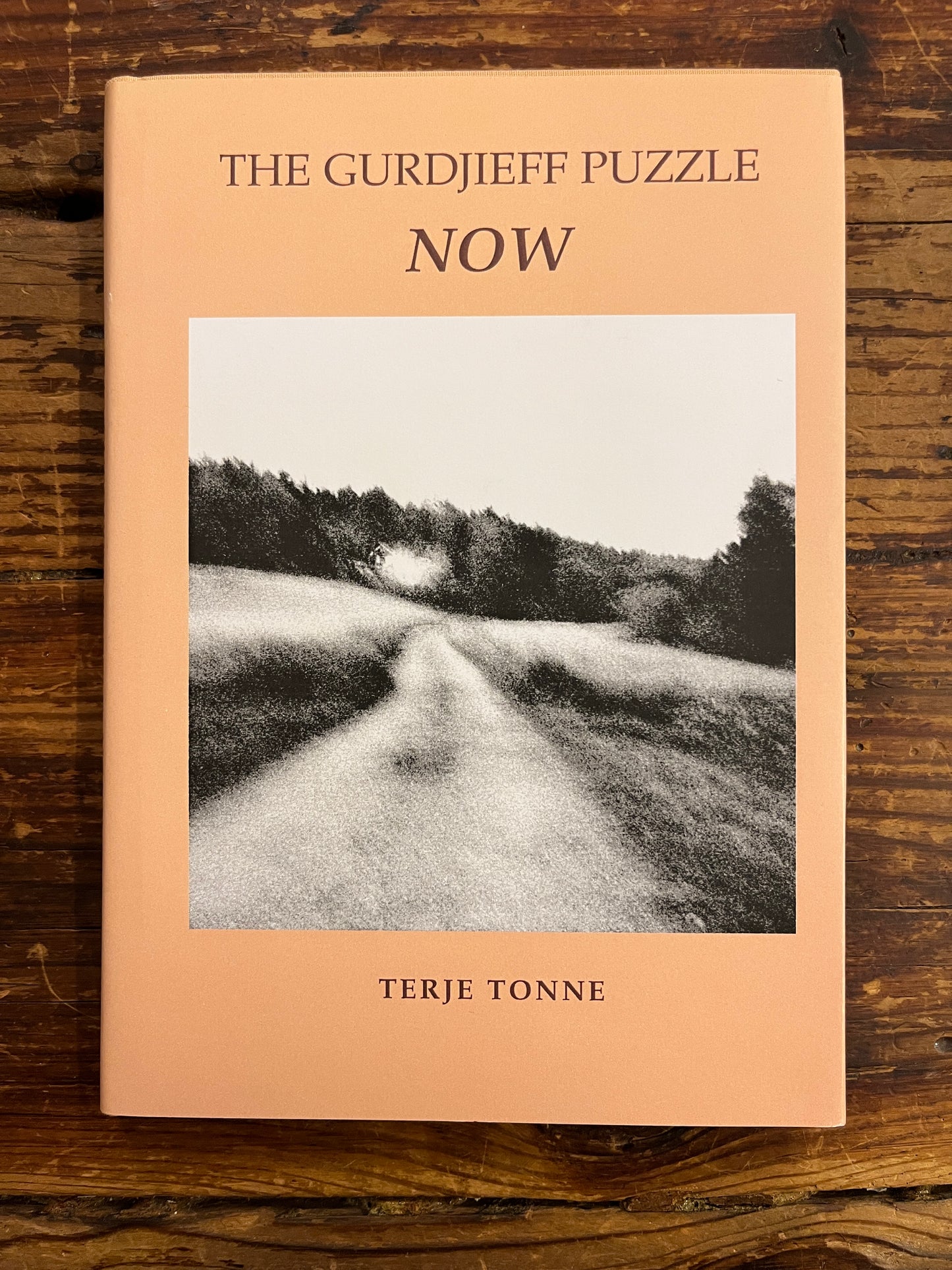 The Gurdjieff Puzzle Now, Terje Tonne