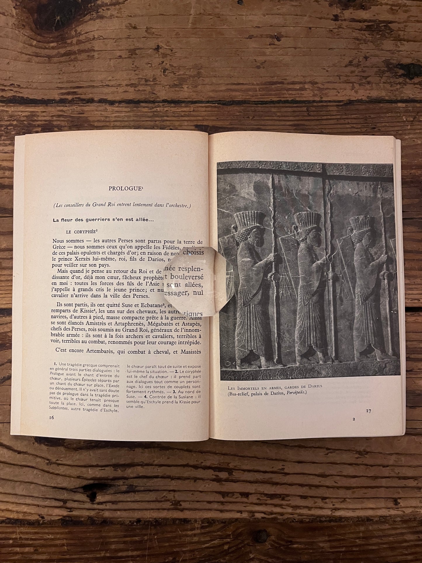photo d'exemple du cotenu du livre "les perses"sur fond de bois