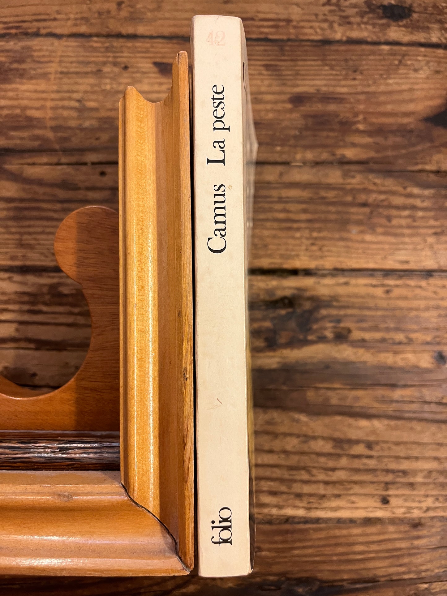 La peste, Albert Camus