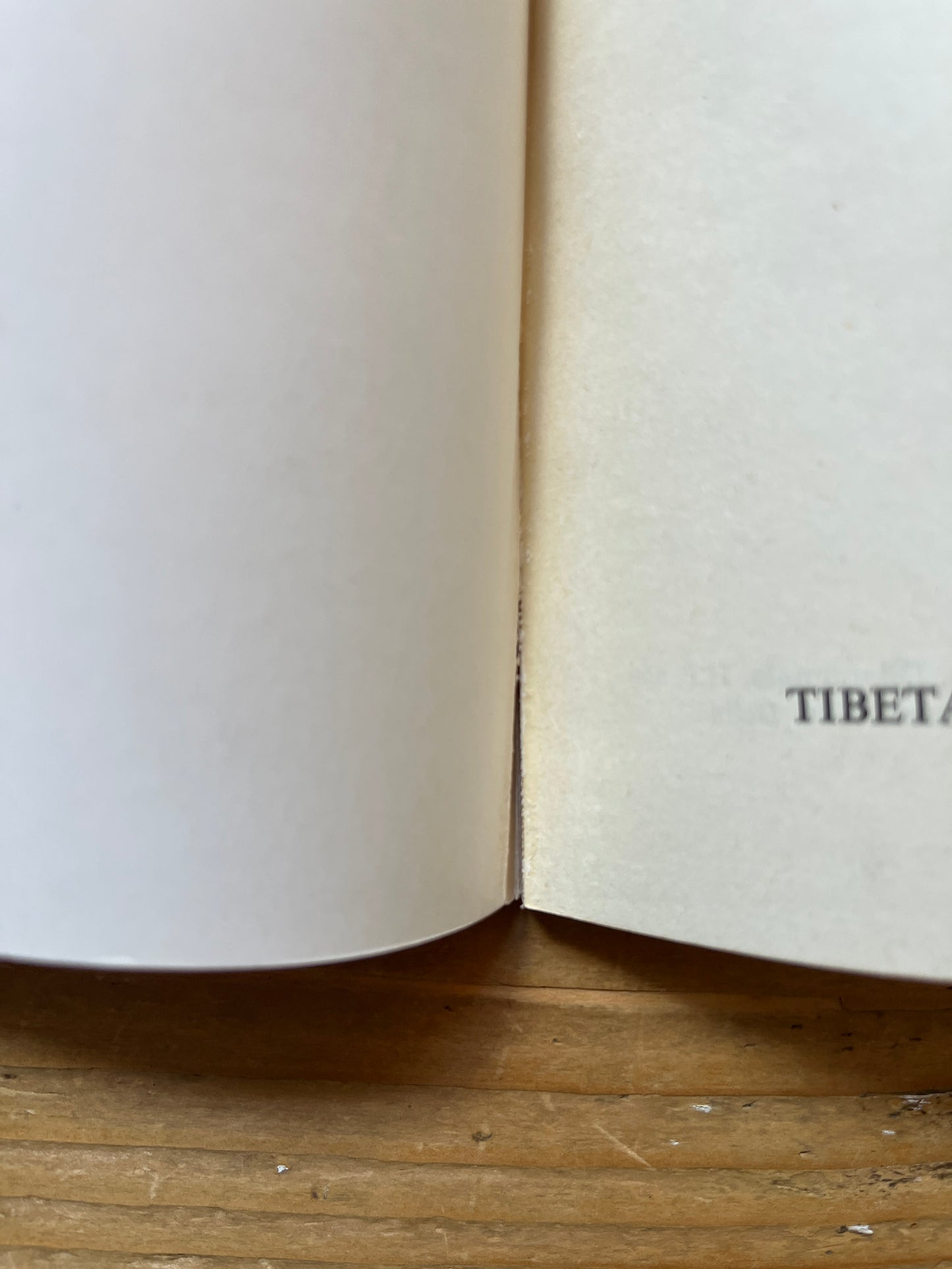 The preliminary practices of Tibetan Buddhism, Geshe Rabten