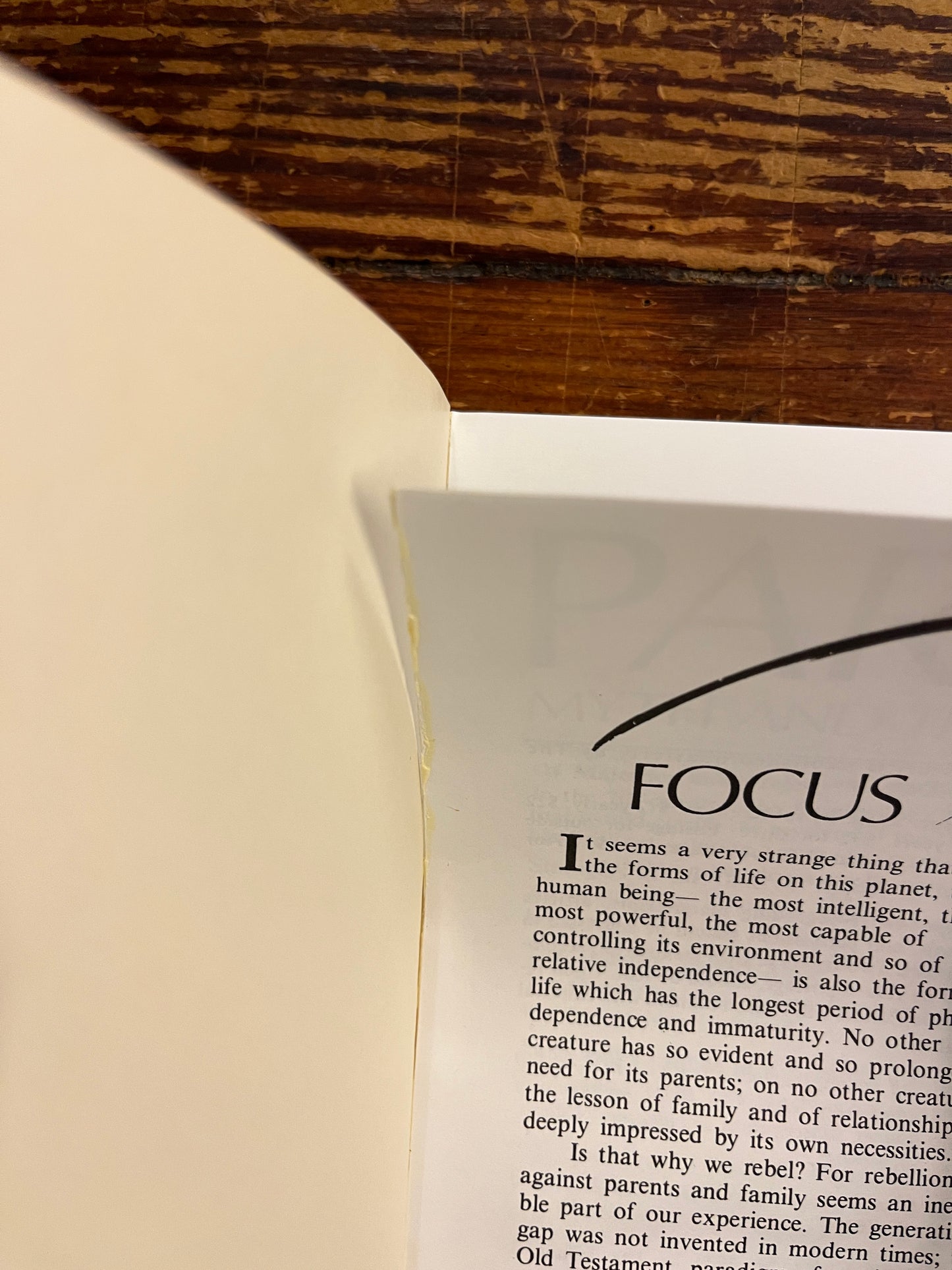 Parabola, Myth and the Quest for meaning, Volume II, Number 4