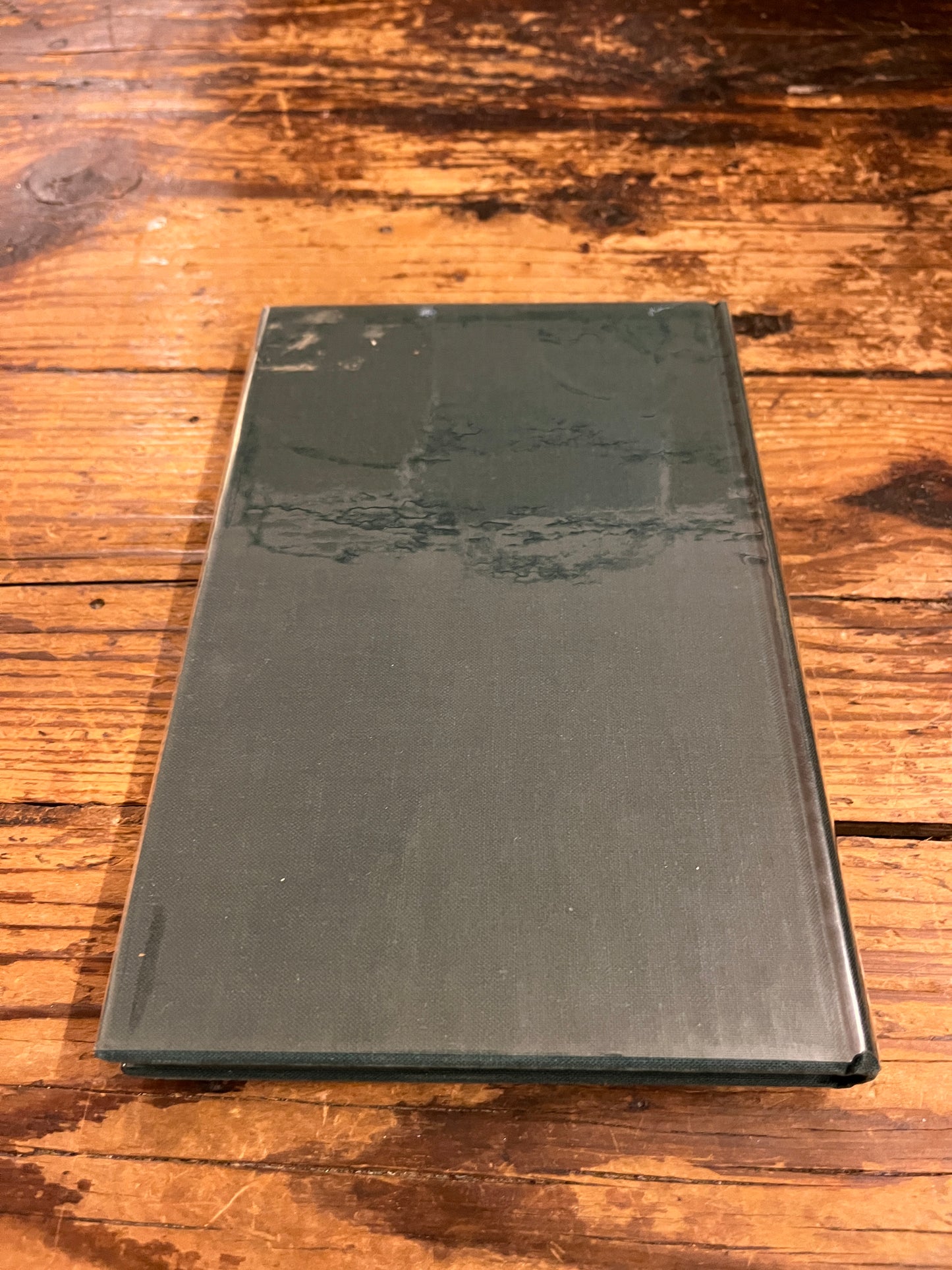 quatrieme de couverture du livre "phédon" sur fond de bois