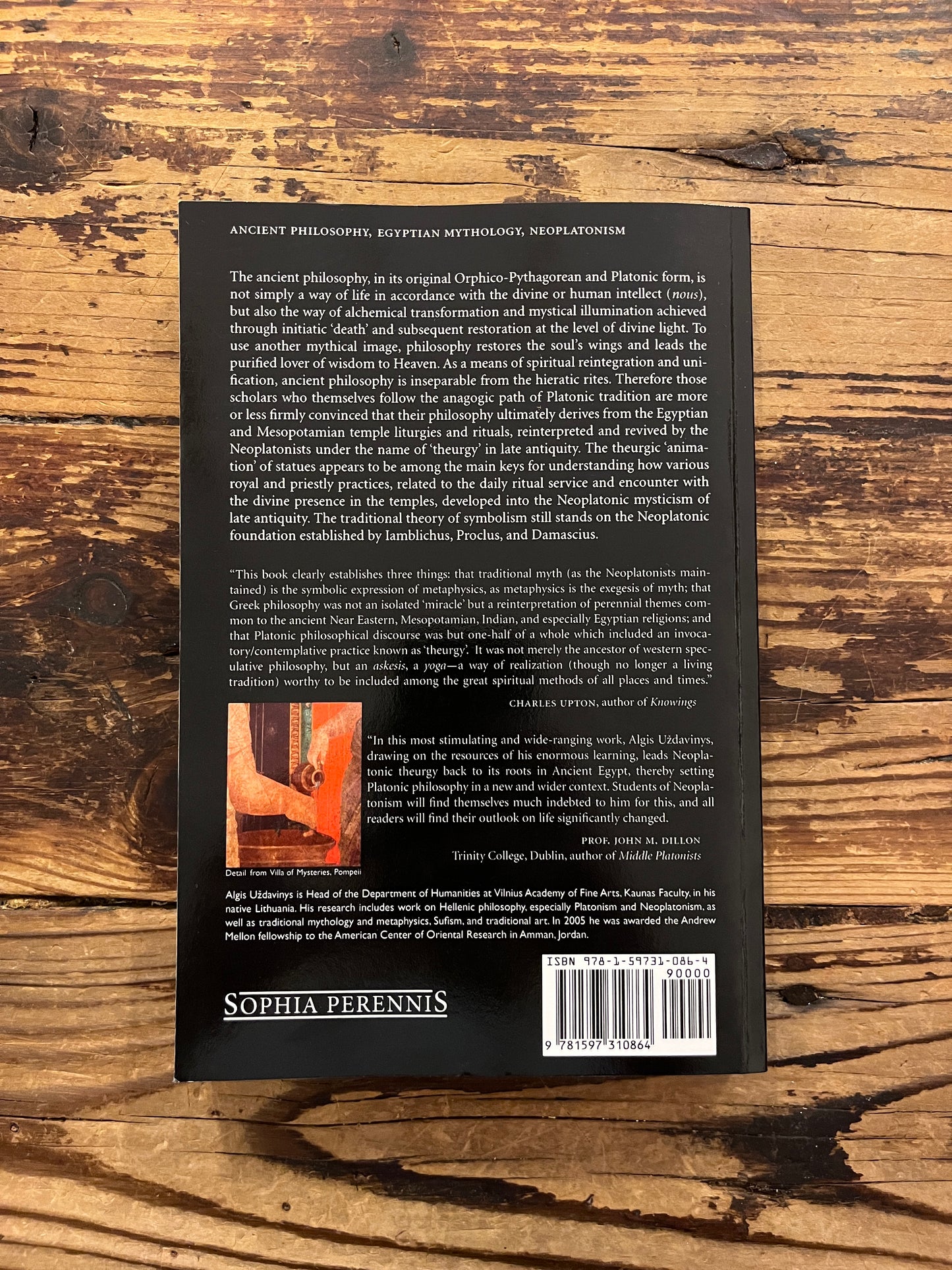 Philosophy & Theurgy in late antiquity by Algis Uždavinys