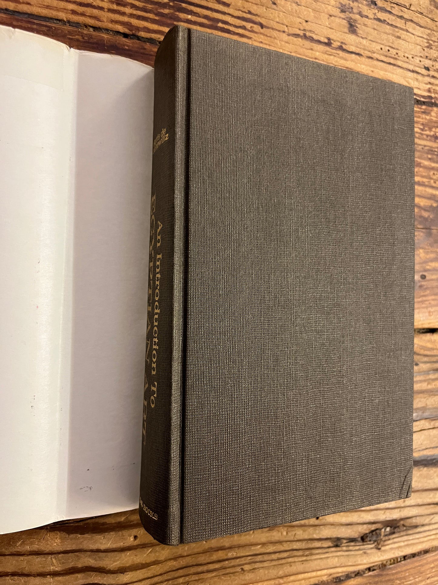An introduction to Egyptian Art, Boris de Rachewitz