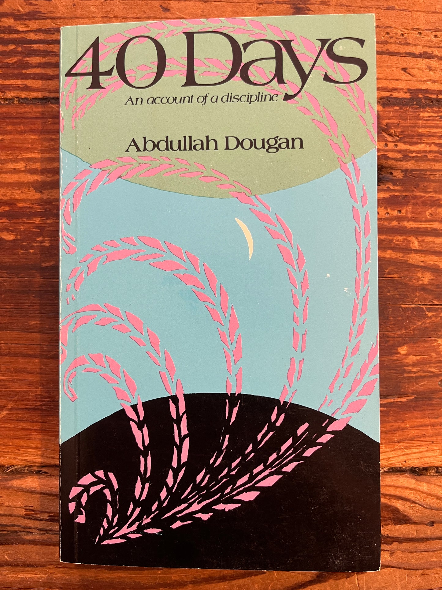40 Days, an account of a discipline, Abdullah Dougan