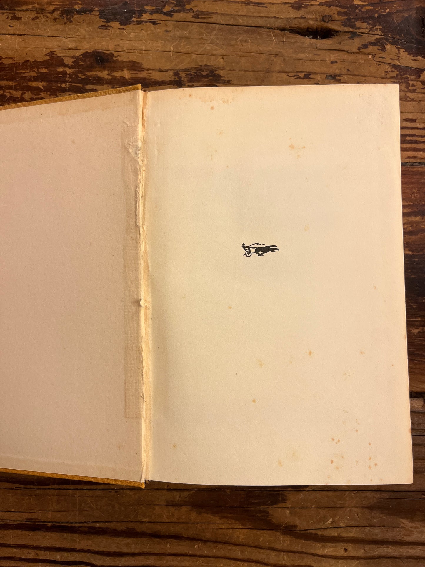 Wirklichtkeit der Seele, C.G. Jung