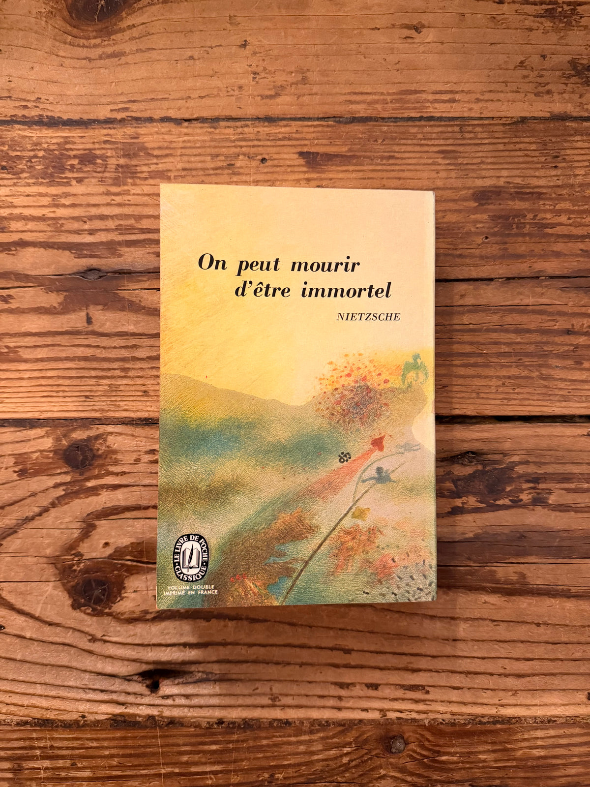 photo de la couverture du livre "Ainsi parlait Zarathoustra " sur fond de bois