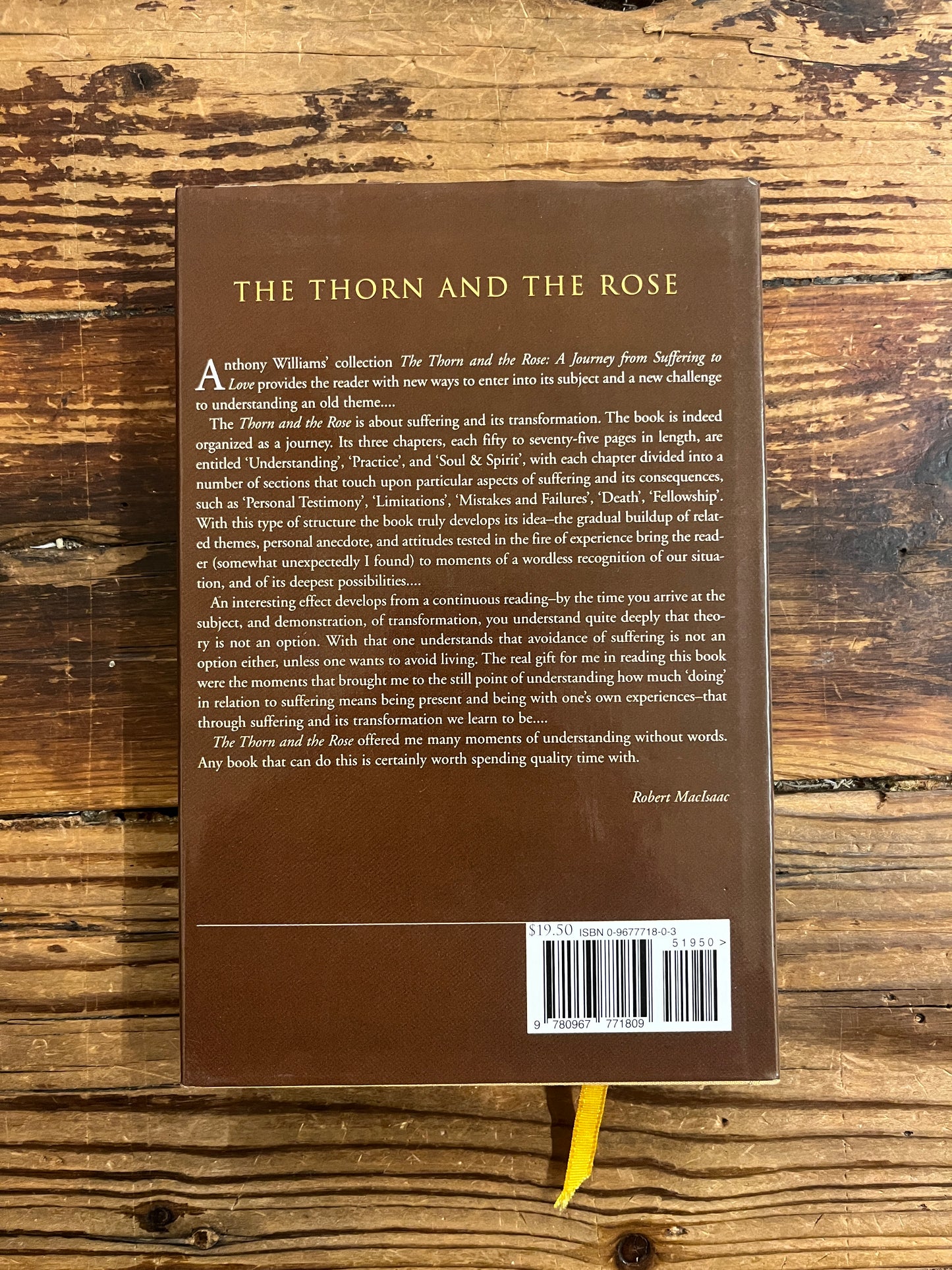 Back cover of book titled 'The Thorn and the Rose' on a wooden surface