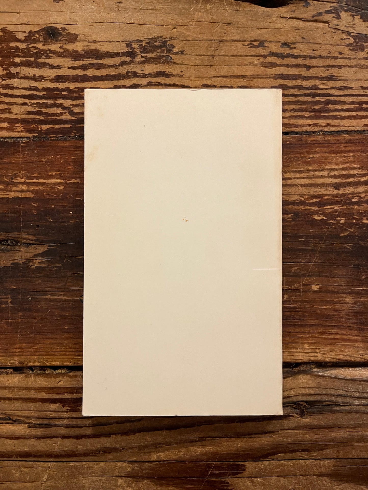 Achterknt van boek met de titel 'Het gebed' door Bo Yin Ra op een houten achtergrond