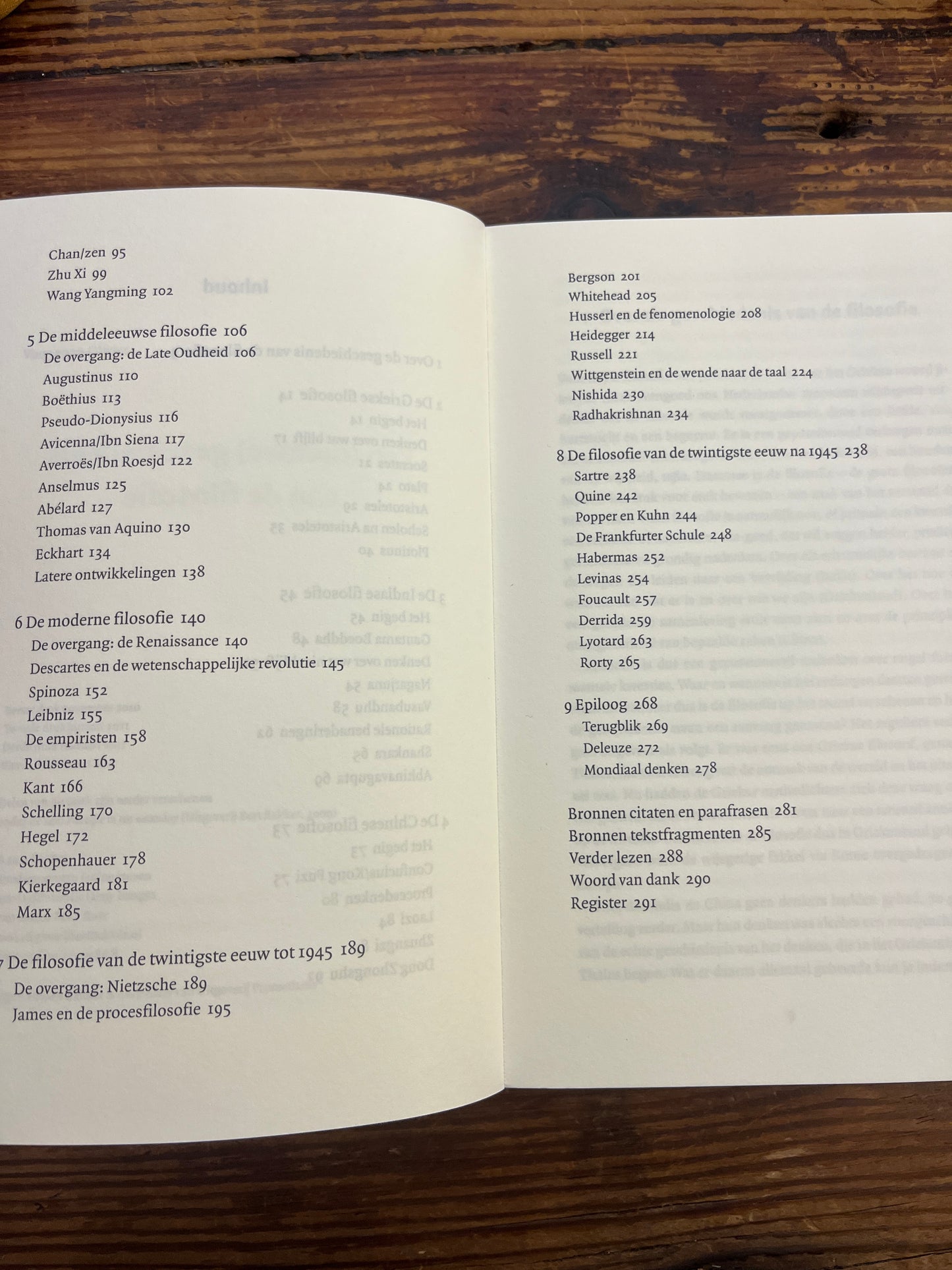 Een (nieuwe) geschiedenis van de filosofie, Jan Bor