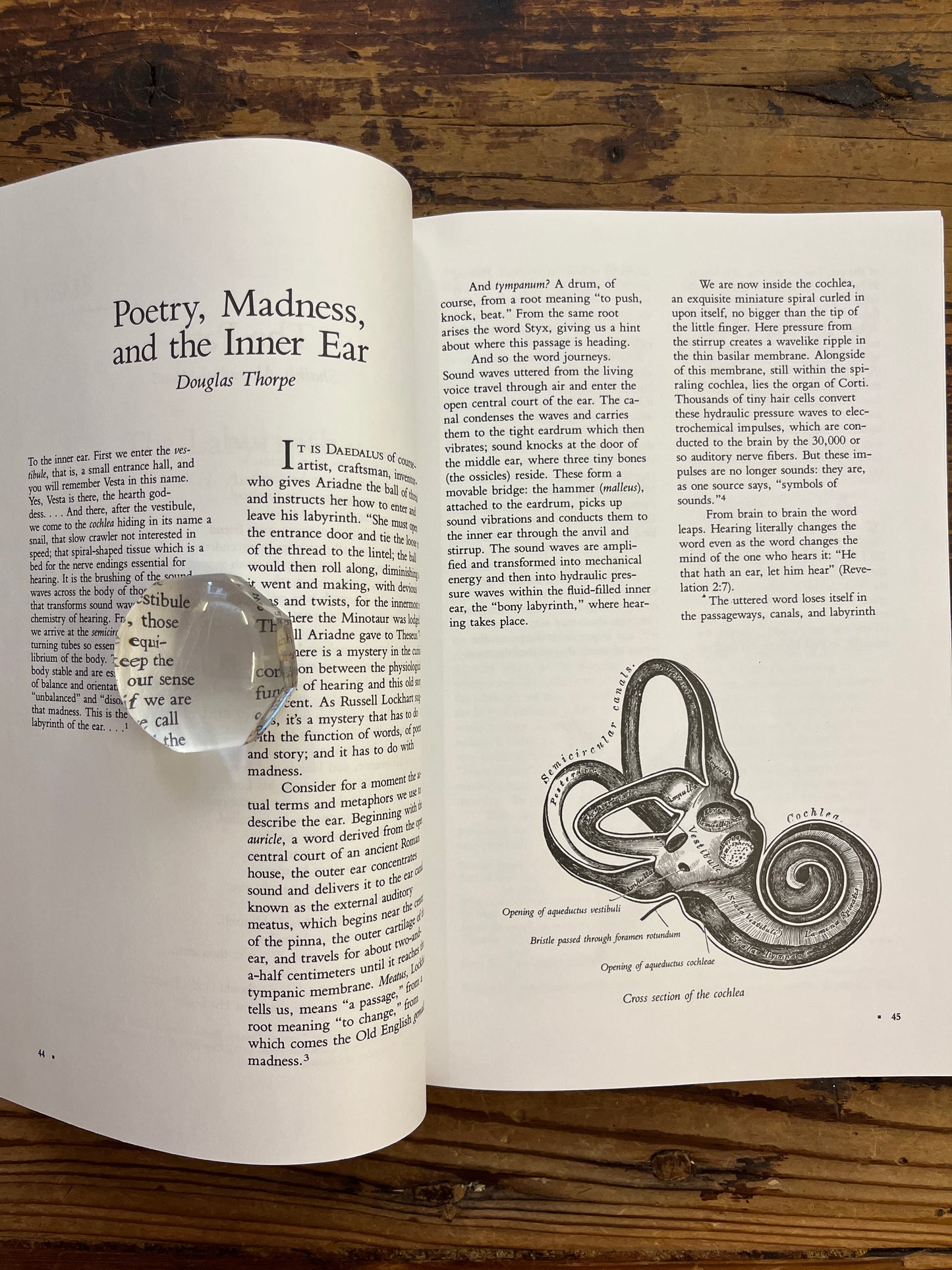 Parabola, Labyrinth, Volume XVII, Number 2