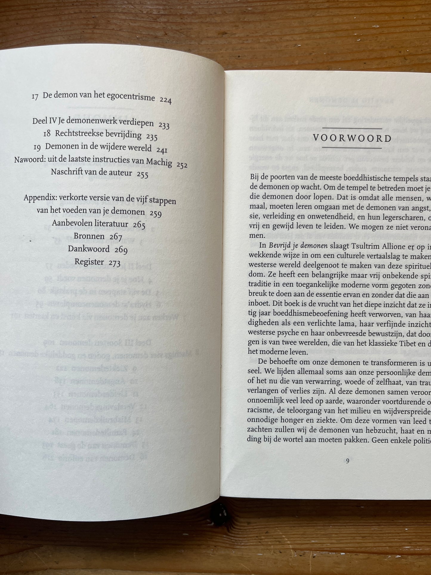 Bevrijd je demonen, Tsultrim Allione