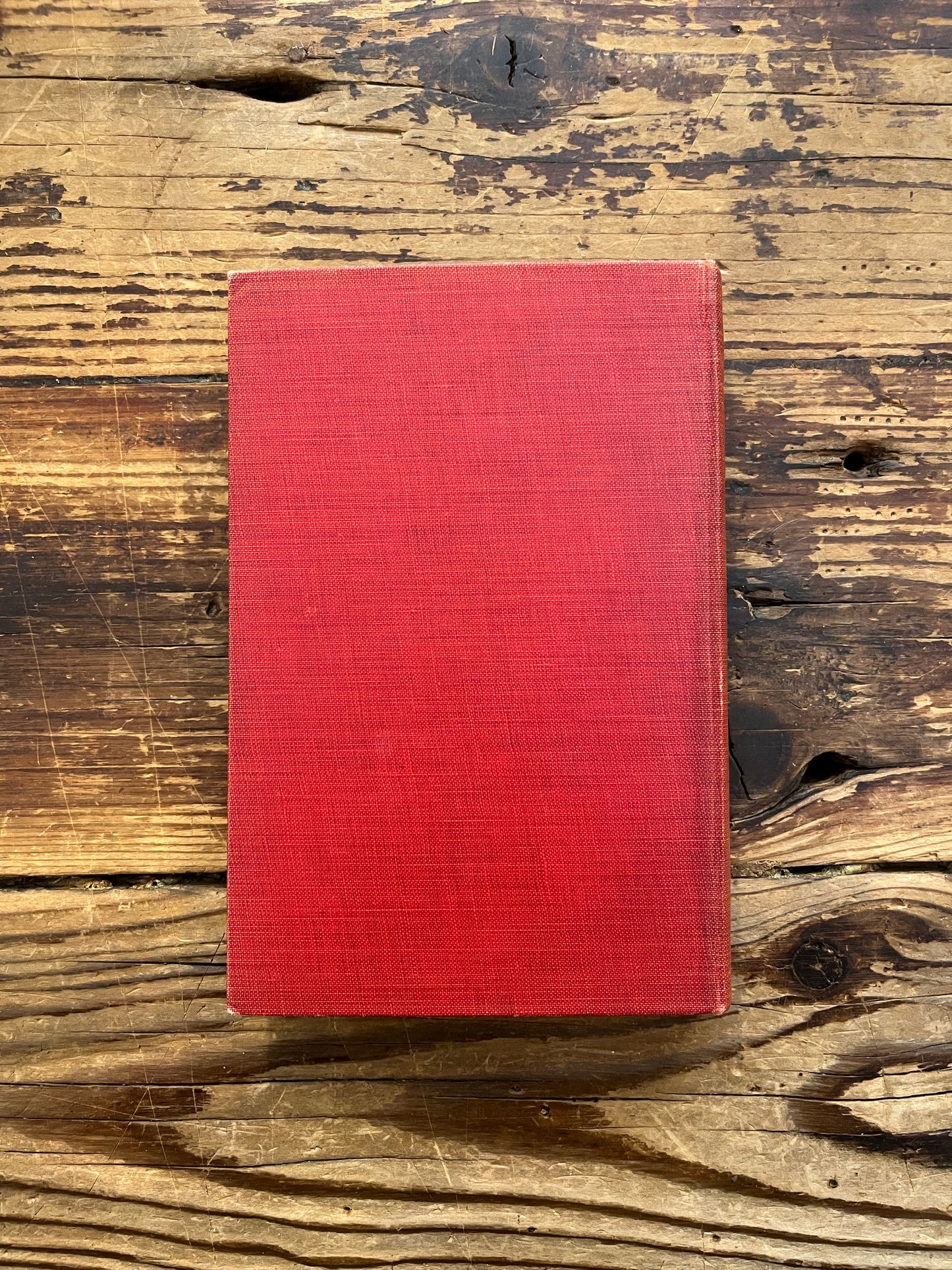 Back cover of book titled 'the missing Goddess and other legends' by Minnie Theobald on a wooden surface