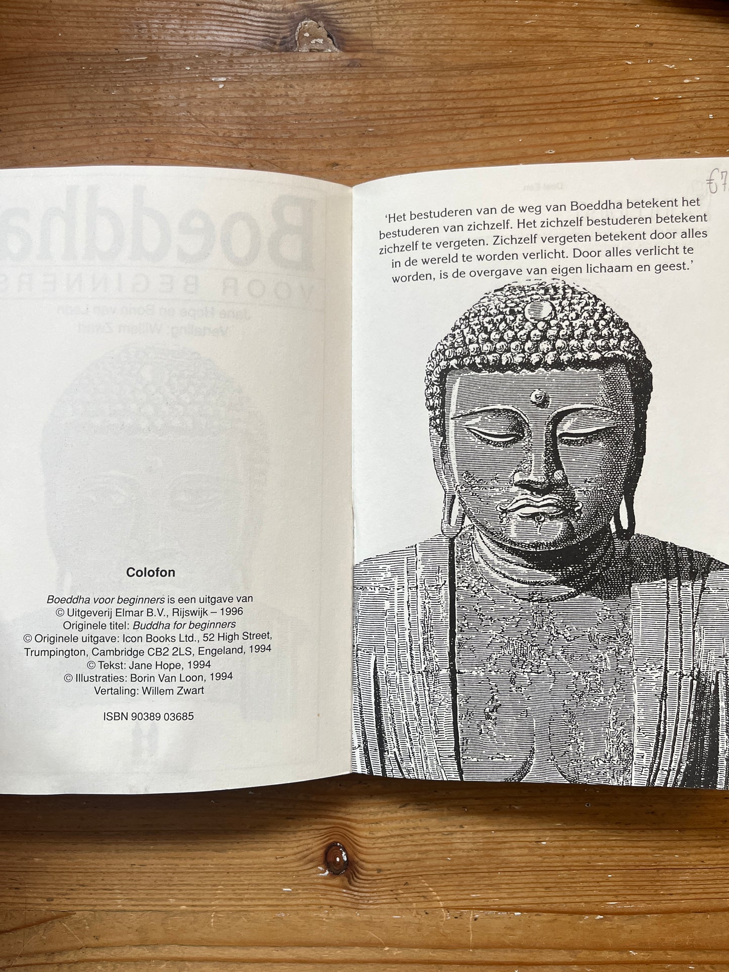 Boeddha voor beginners, Jane Hope and Borin van Loon
