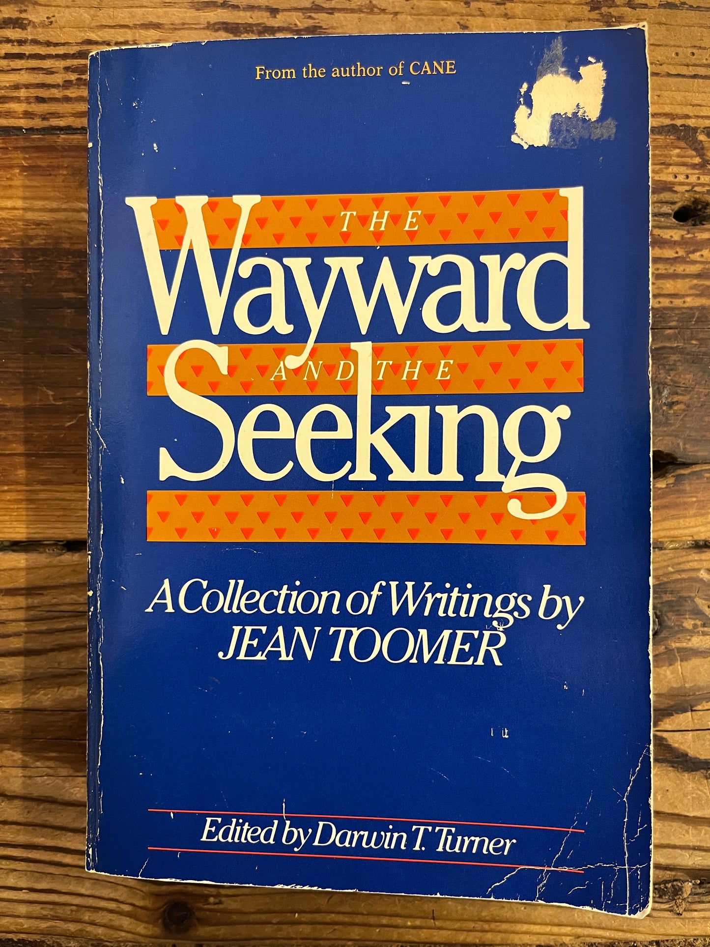 The Wayward and the Seeking, Jean Toomer