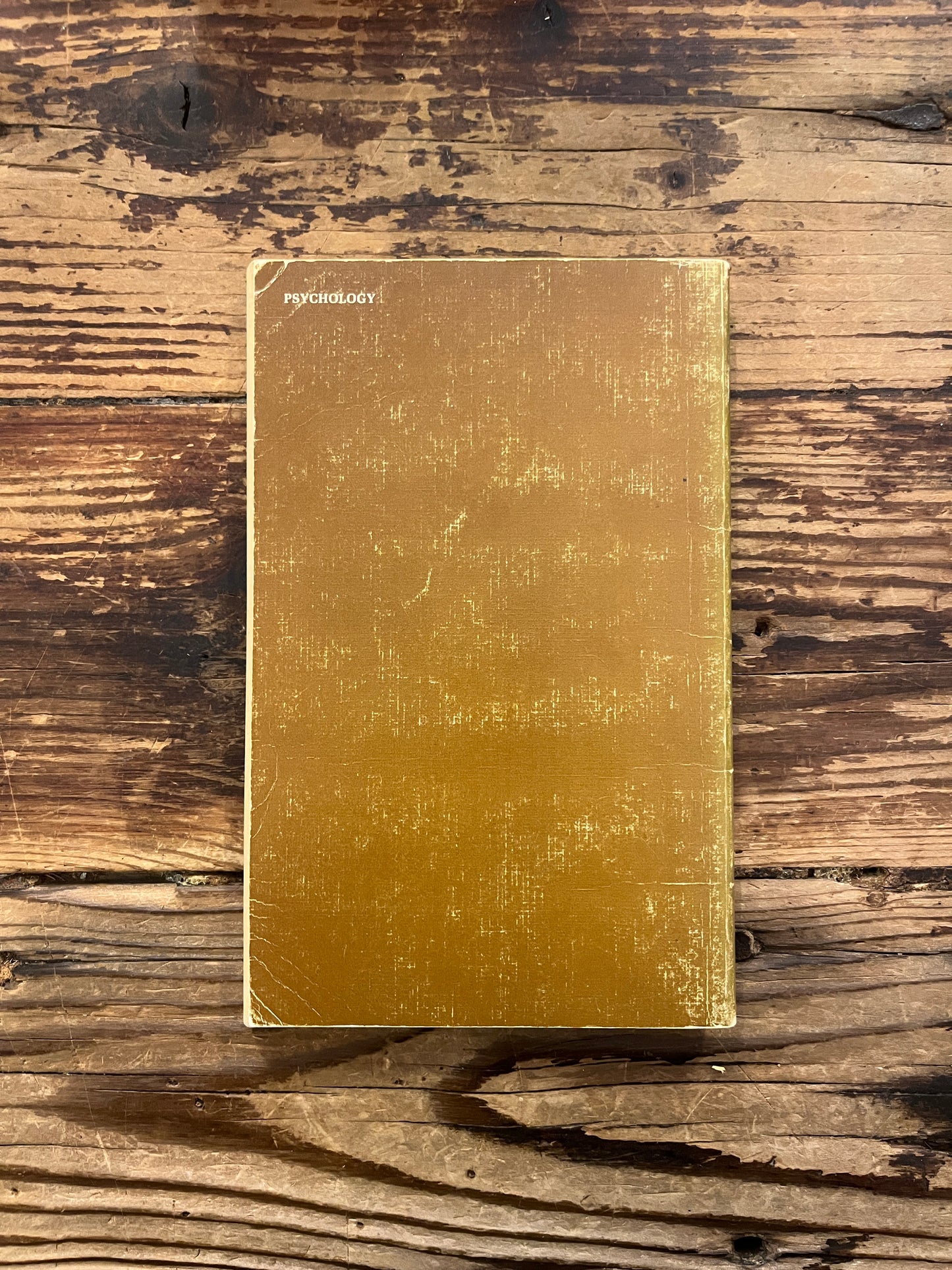 Back cover of book titled 'the story of psychology' by Frank J. Bruno on a wooden surface