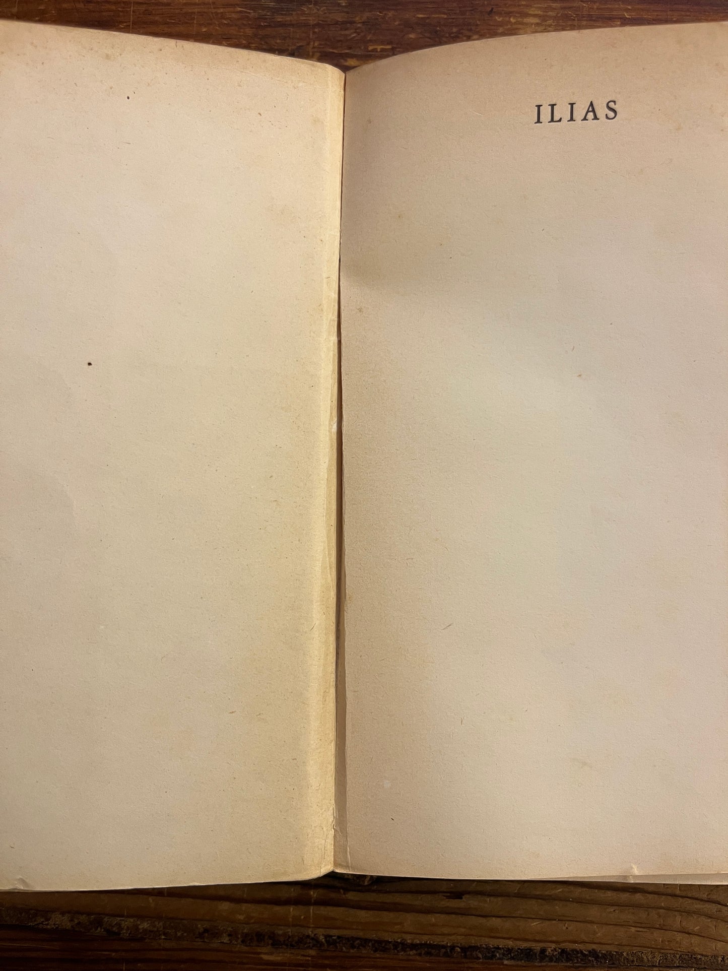 Ilias, metrische vertaling van Dr Aegidius W. Timmerman, Homerus