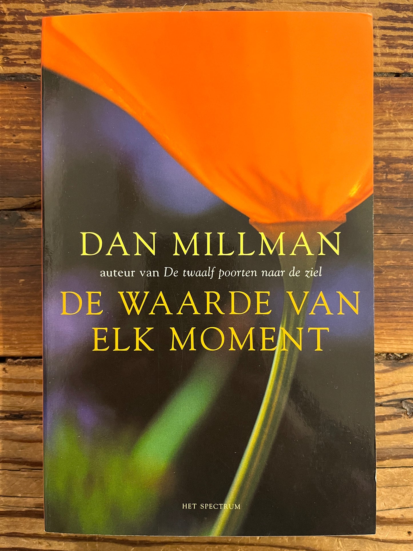 De waarde van elk moment, Dan Millman