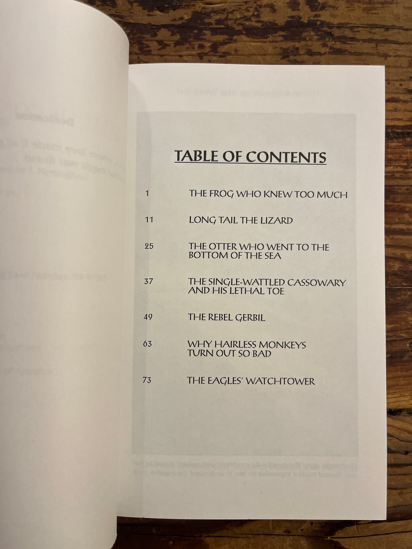 The Color of the wind, fables for a New Age, Theodore J. Nottingham
