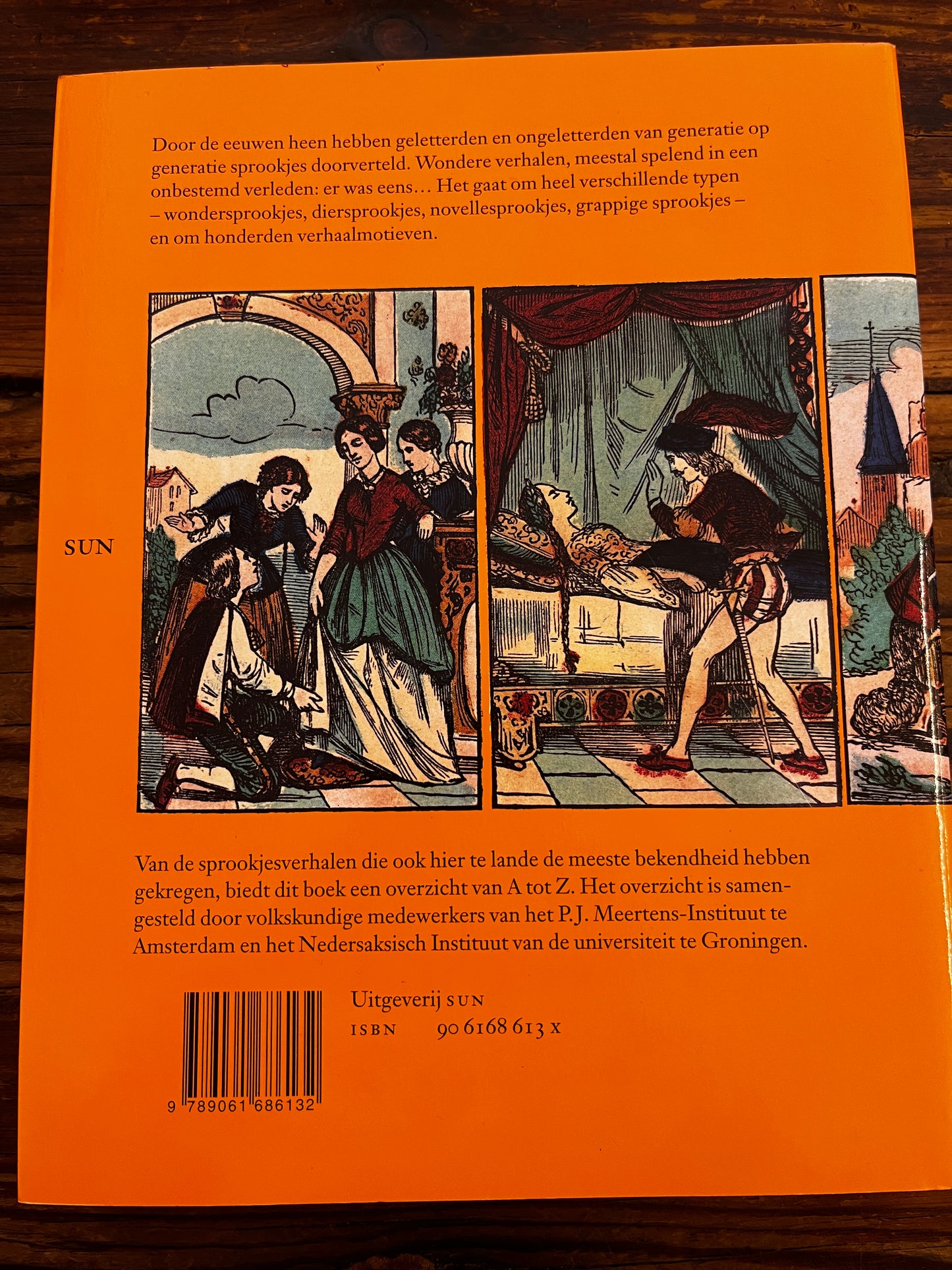 Achterkant van boek met titel 'Van Aladdin tot Zwaan kleef aan' op houten achtergrond