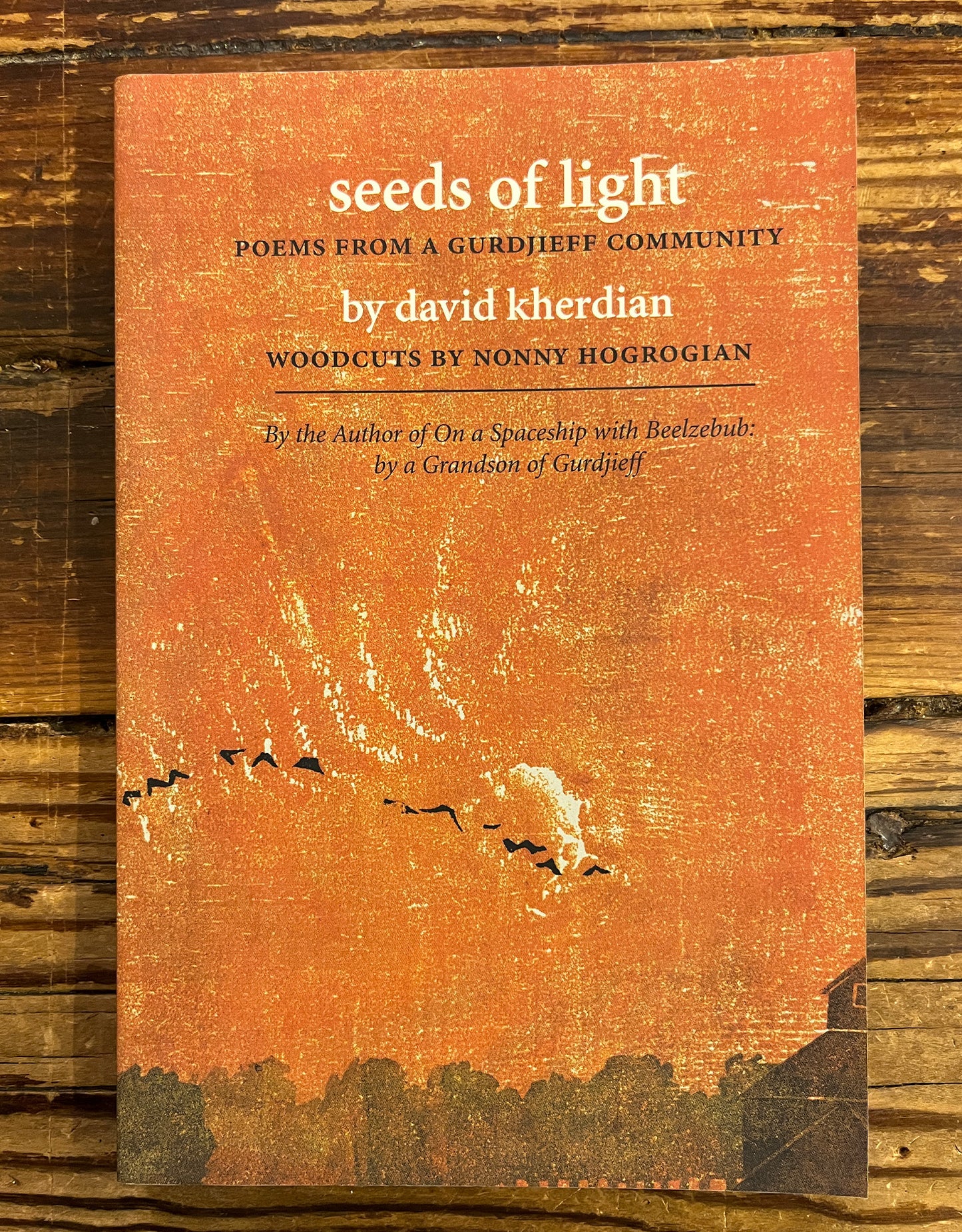 Seeds of light, David Kherdian