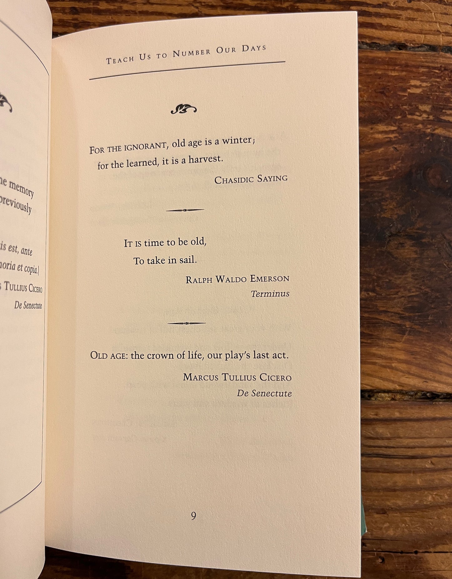 Teach us to Number our Days, Steven McFadden