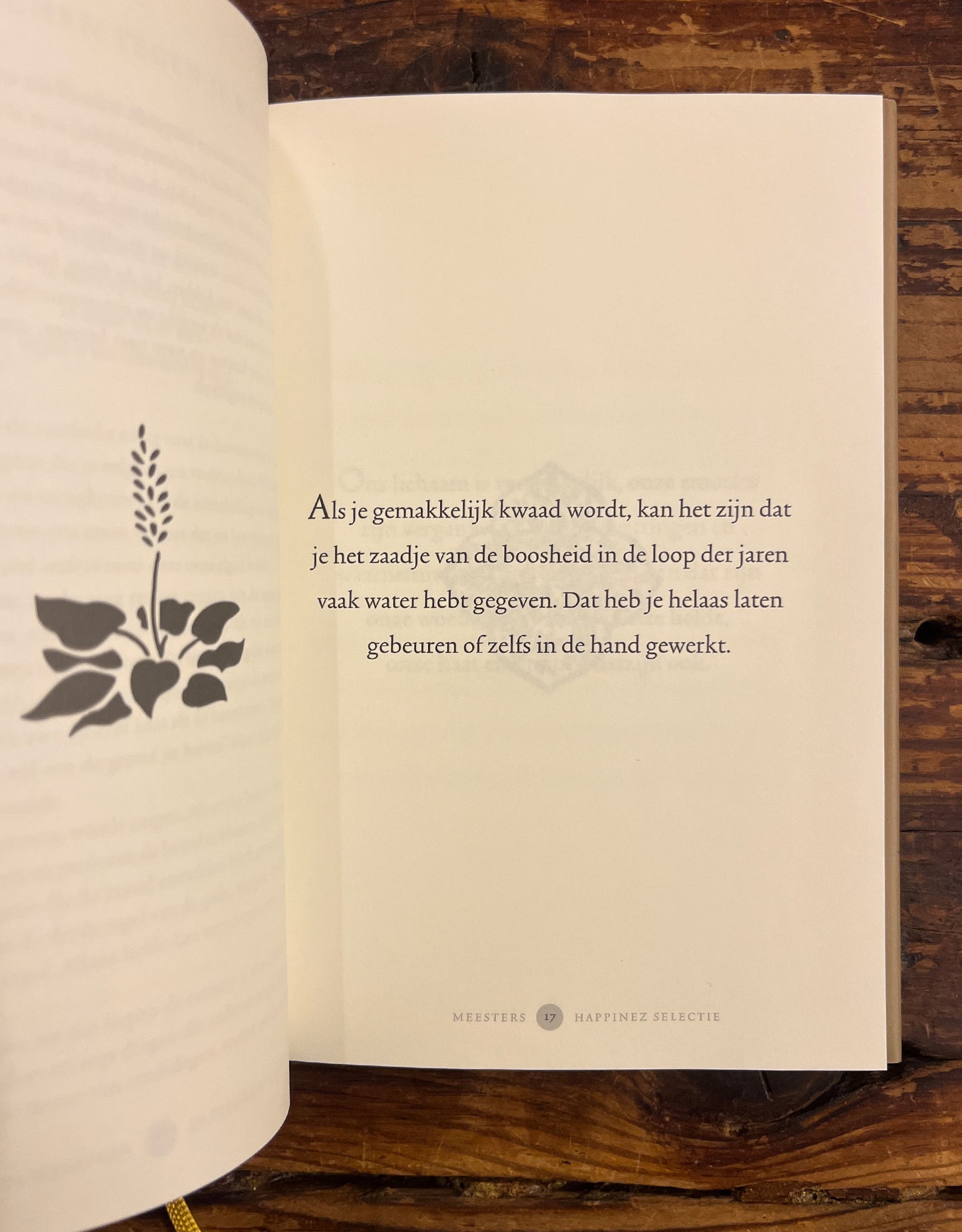 De mooiste wijze teksten van Thich Nhat Hanh