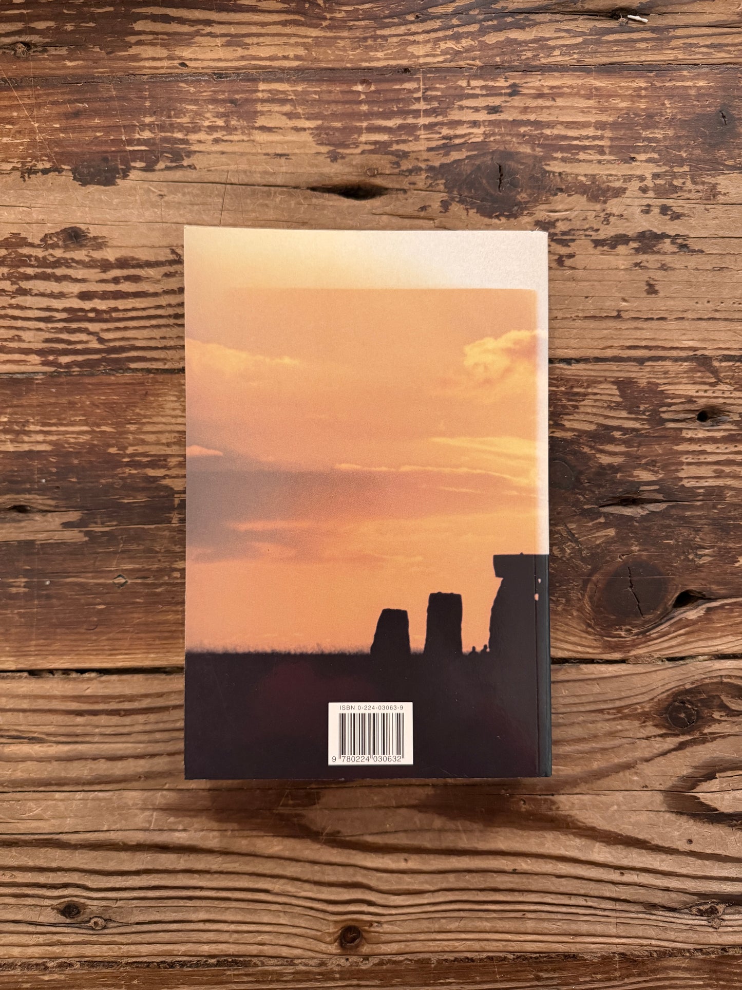 Back cover of book titled 'The Caves of the Sun: The Origin of Mythology' by Adrian Bailey, lying on a wooden surface