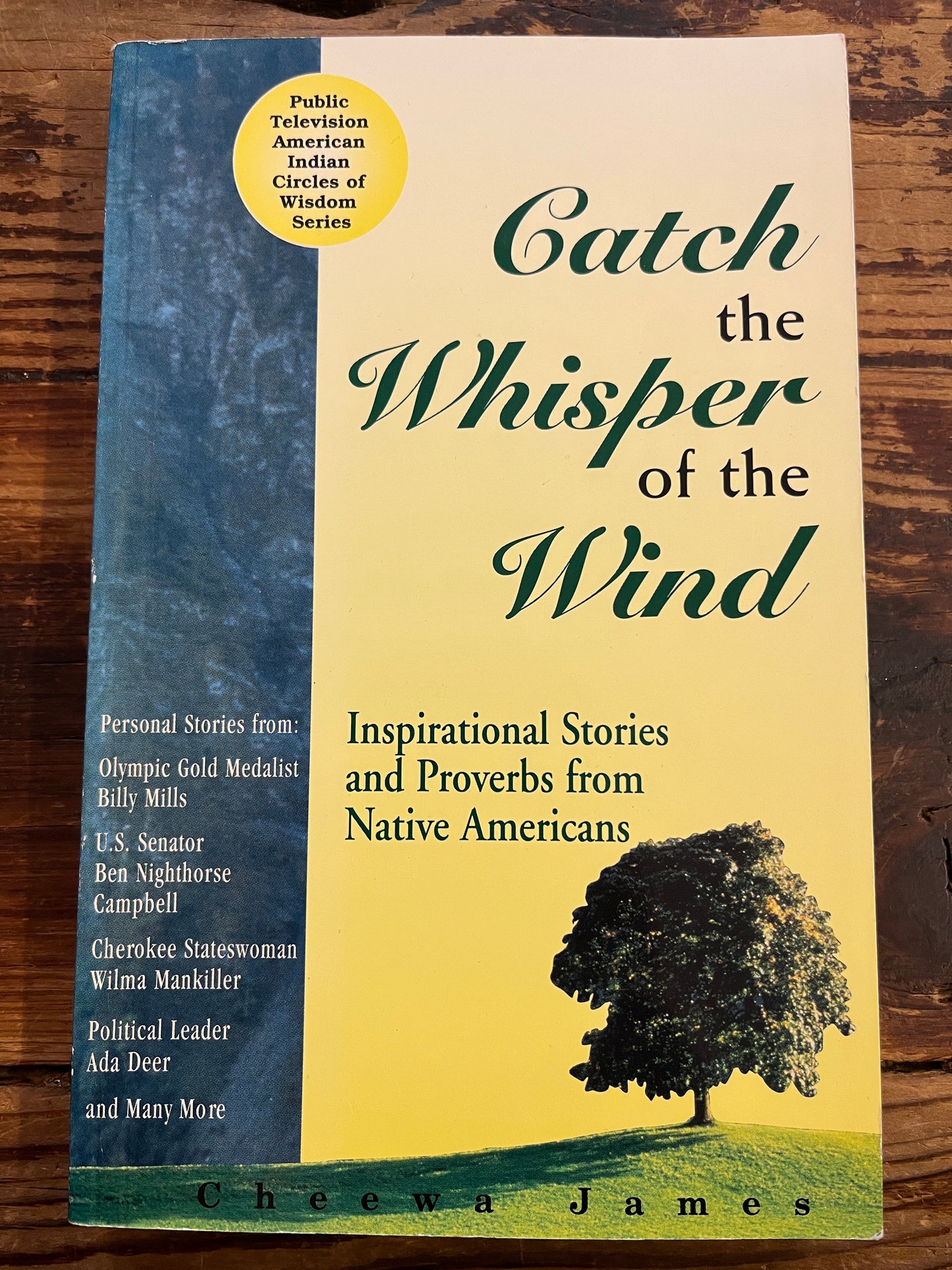 Catch the Whisper of the wind, Cheewa James