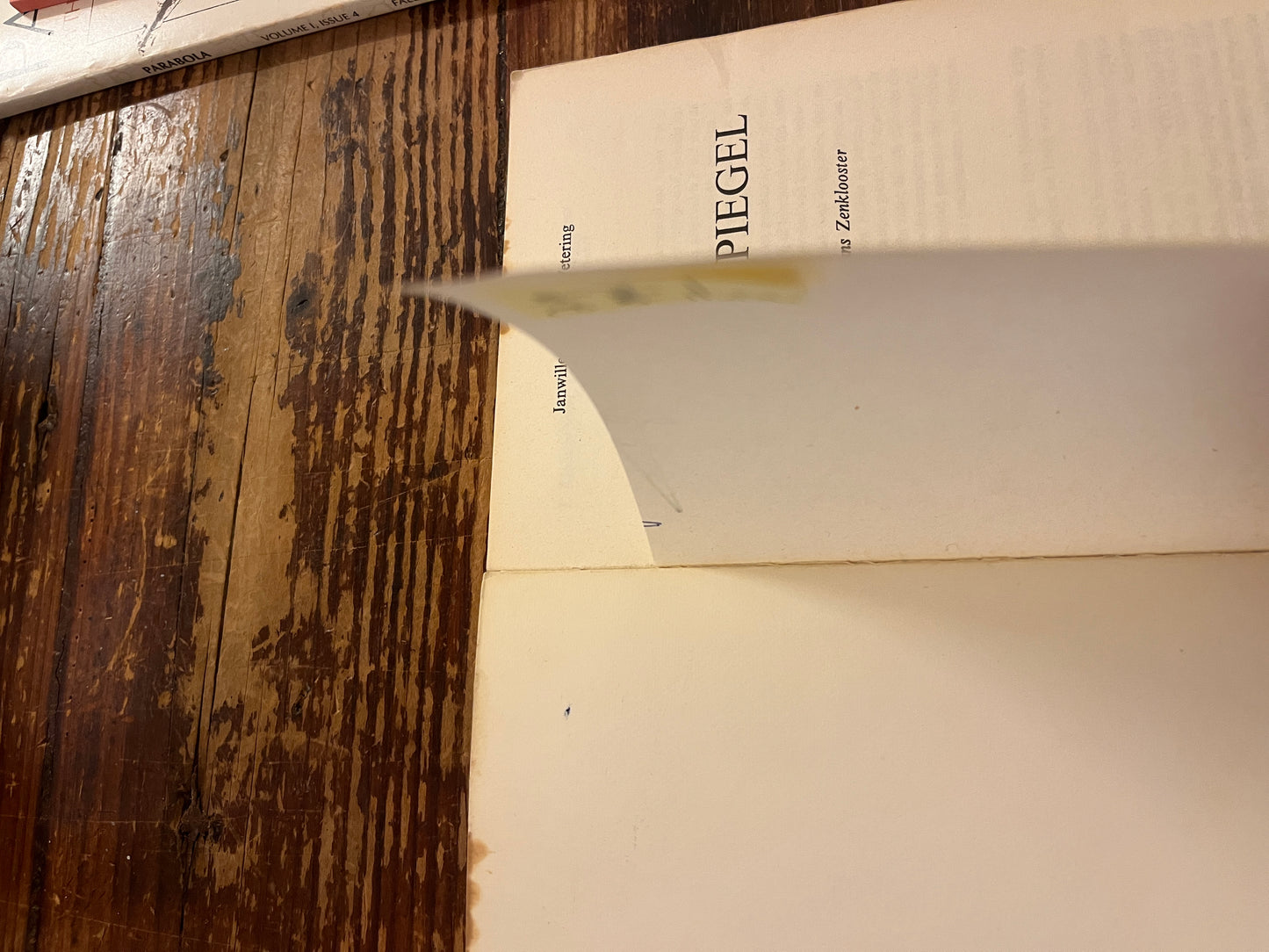 De lege spiegel door Janwillem van de Wetering