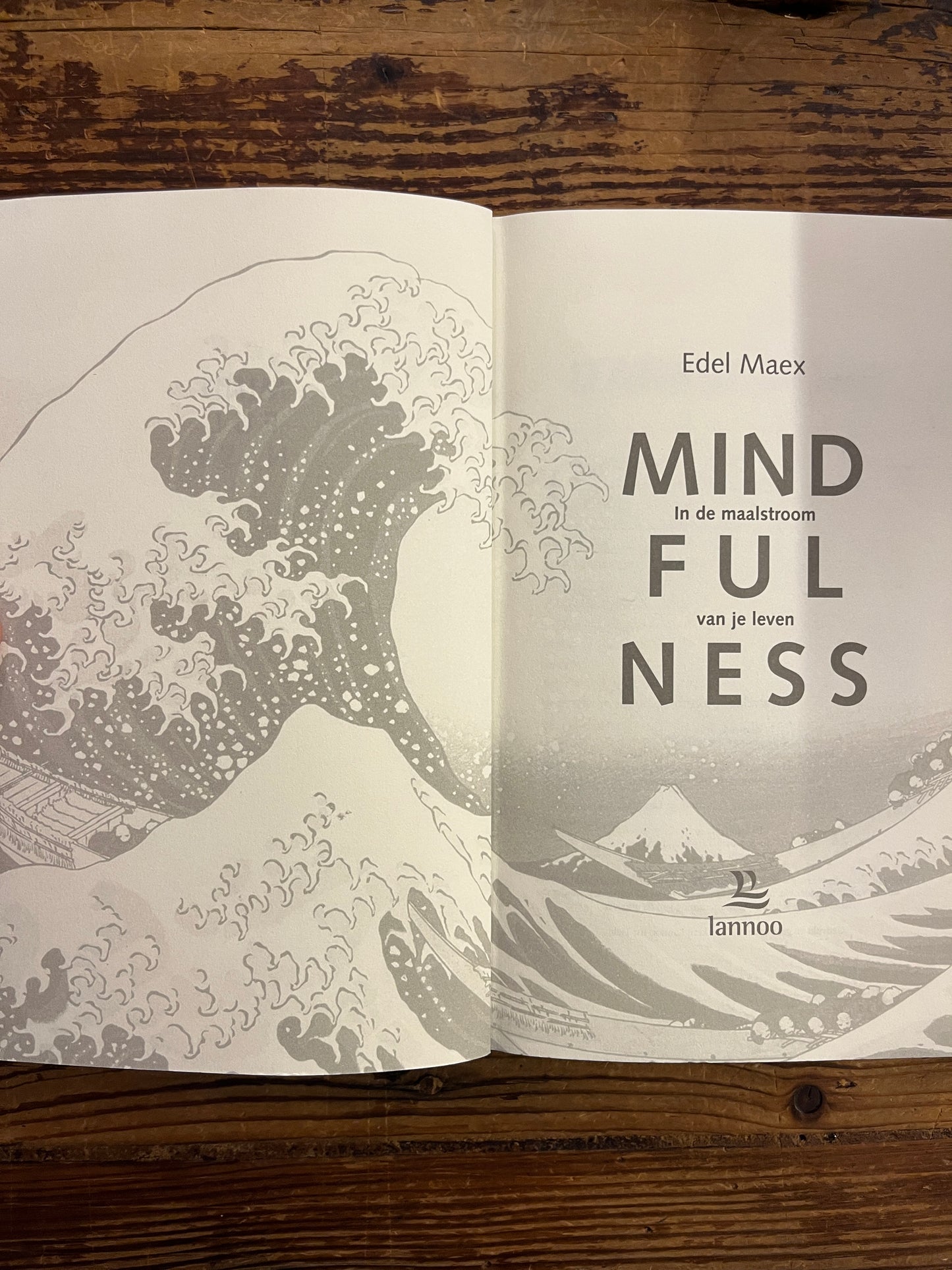 Mindfulness, Edel Maex
