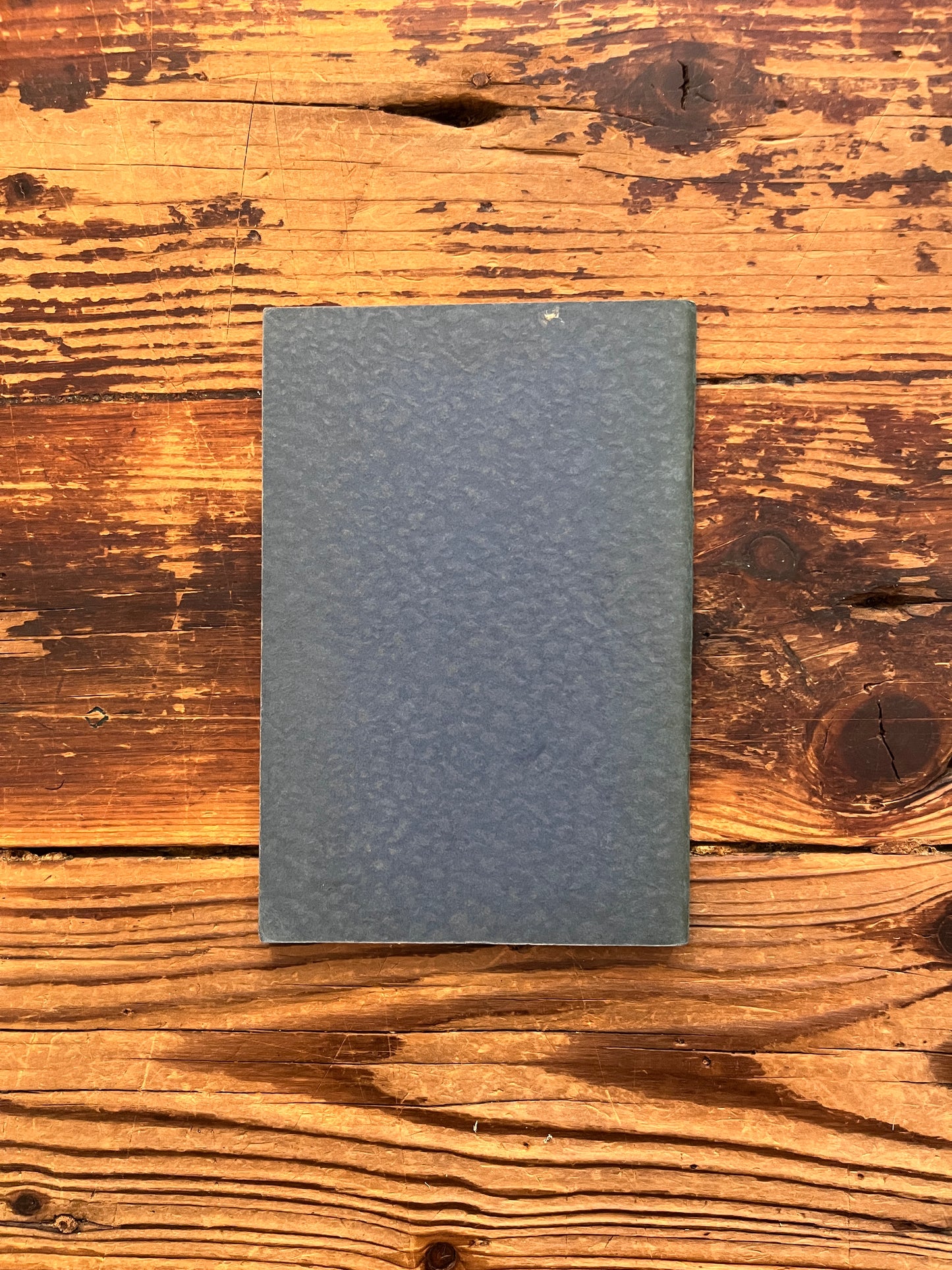 Back cover of booklet with the title 'Death and After' by Minnie B. Theobald on a wooden surface 