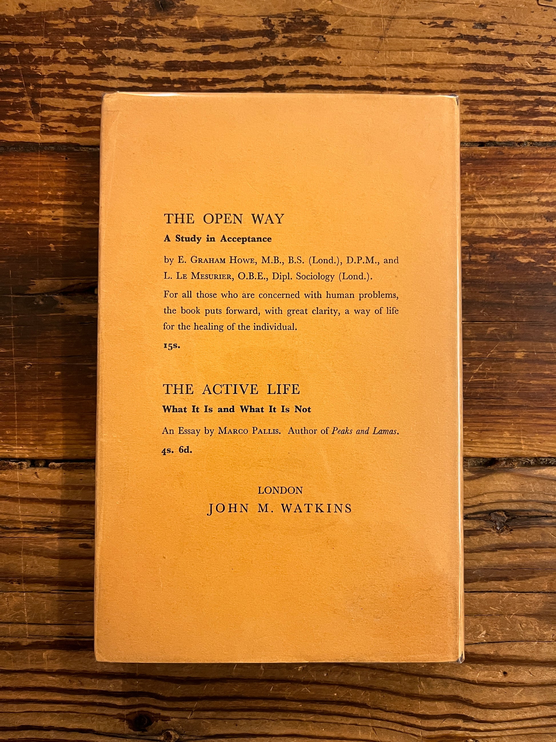 Back cover of book 'three levels of consciousness' by Minnie B. Theobald on a wooden surface 