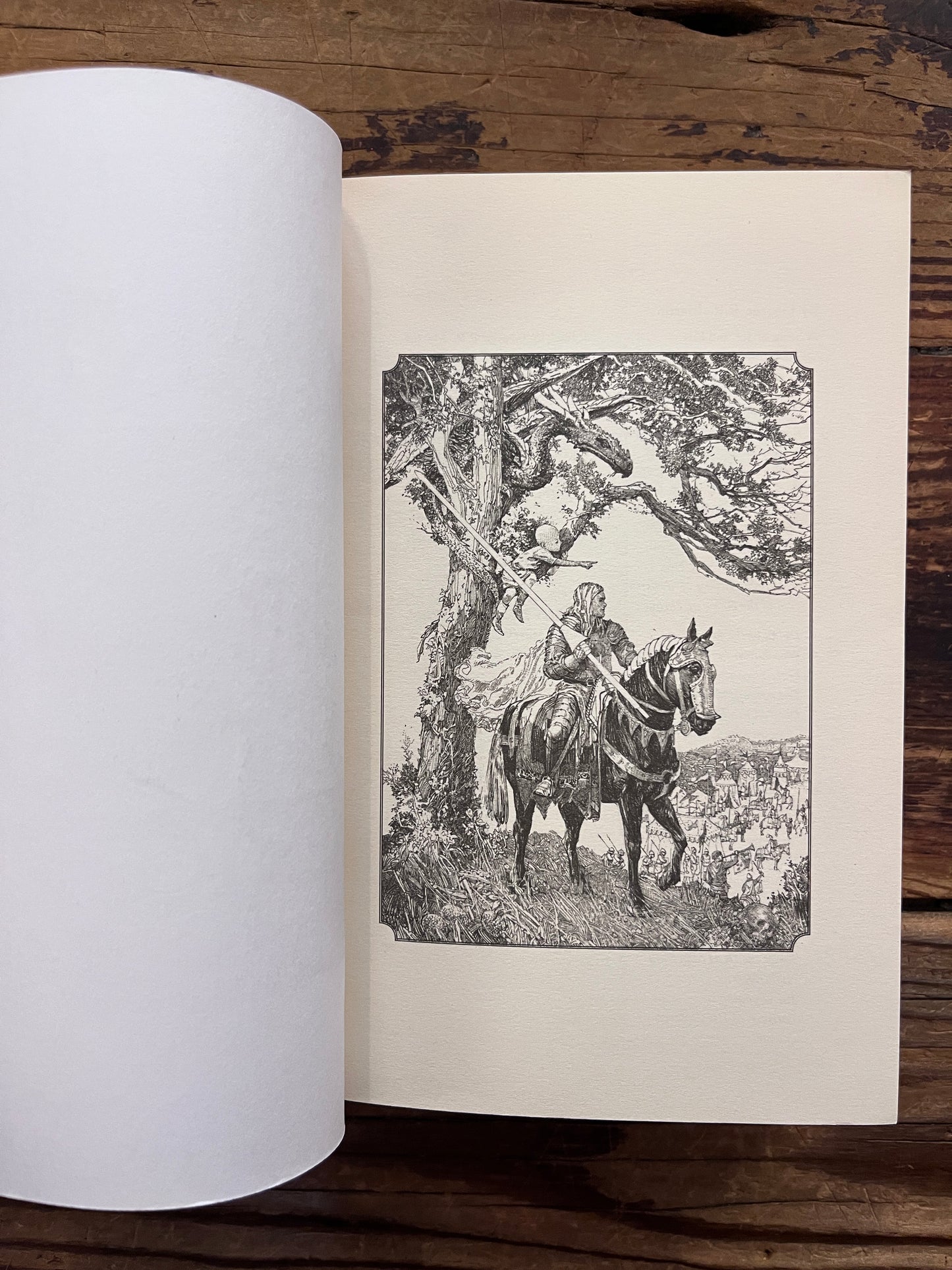 Illustration by Gary Gianni in a book titled 'A Knight of the Seven Kingdoms' by George R.R. Martin on a wooden surface