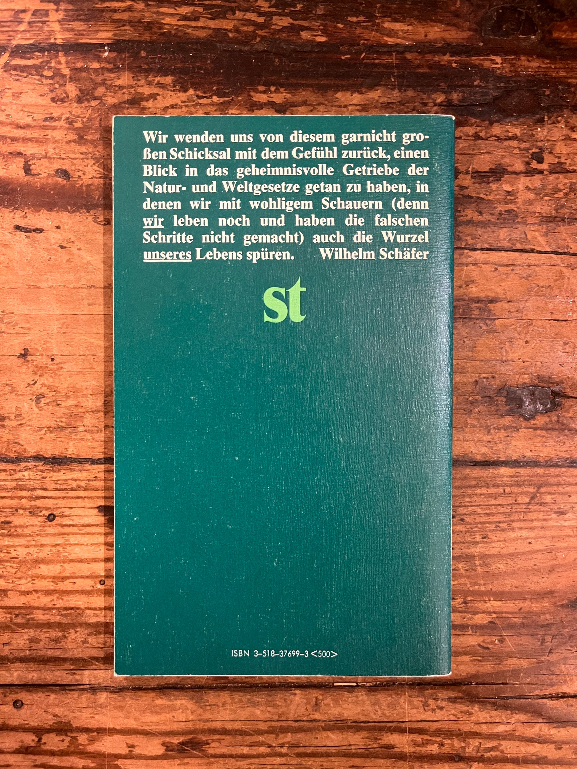 photo of the backcover of the book "Walter Kömpff" on a wooden background