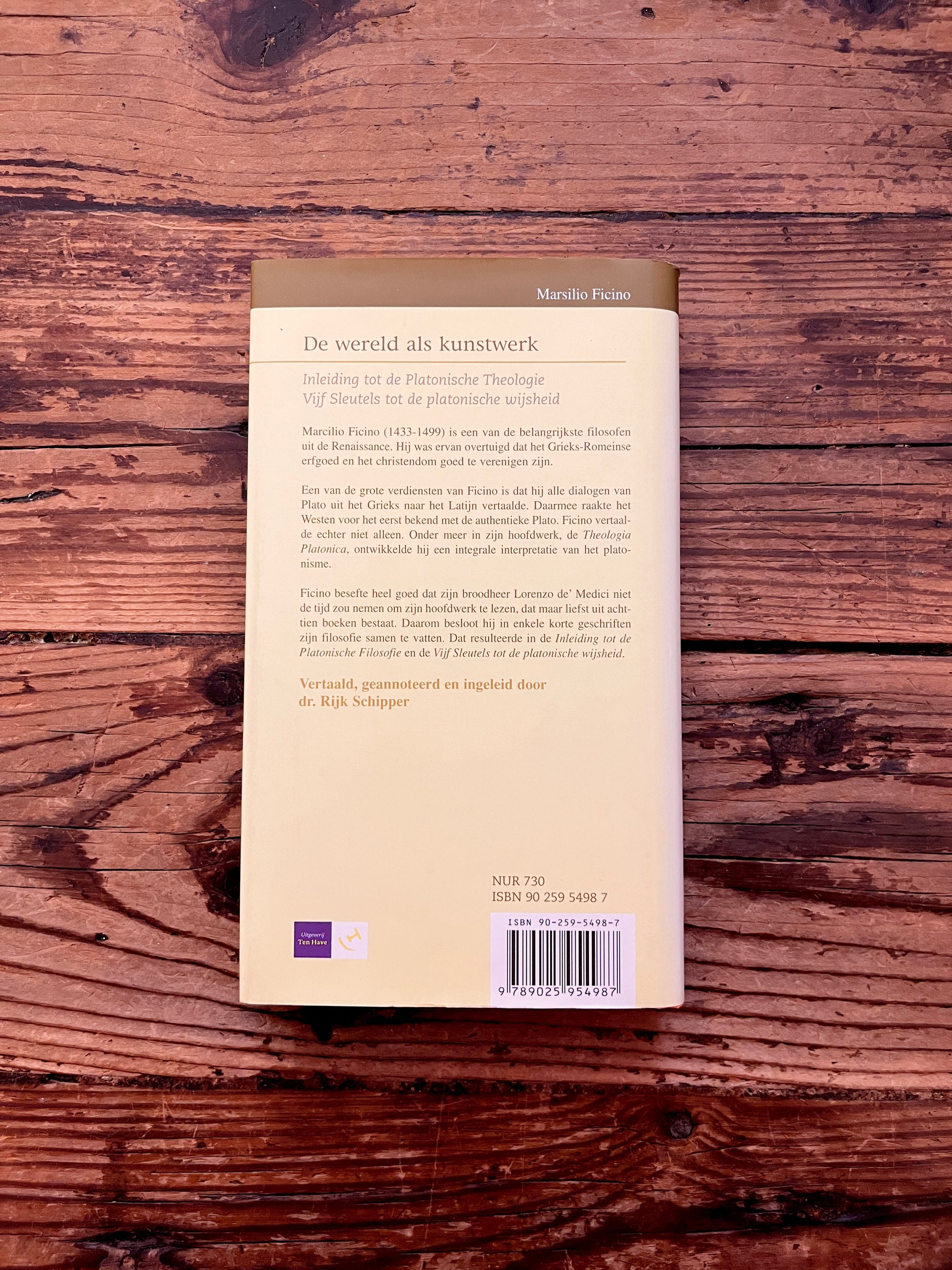 foto van de omslag van het boek "De wereld als kunstwerk" op houten achtergrond