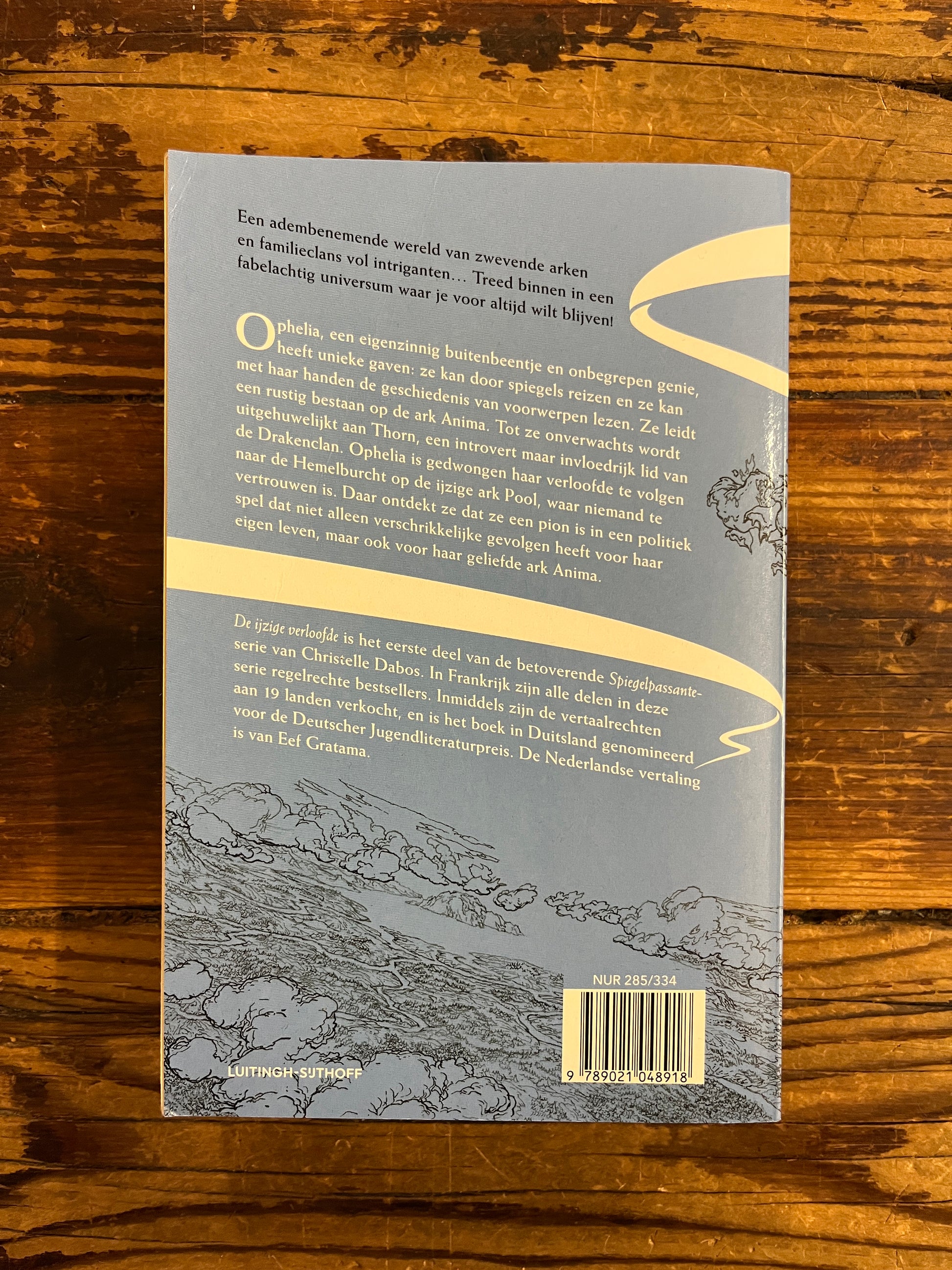 Achterkant van boek met de titel 'de ijzige verloofde' door Christelle Dabos op een houten achtergrond 